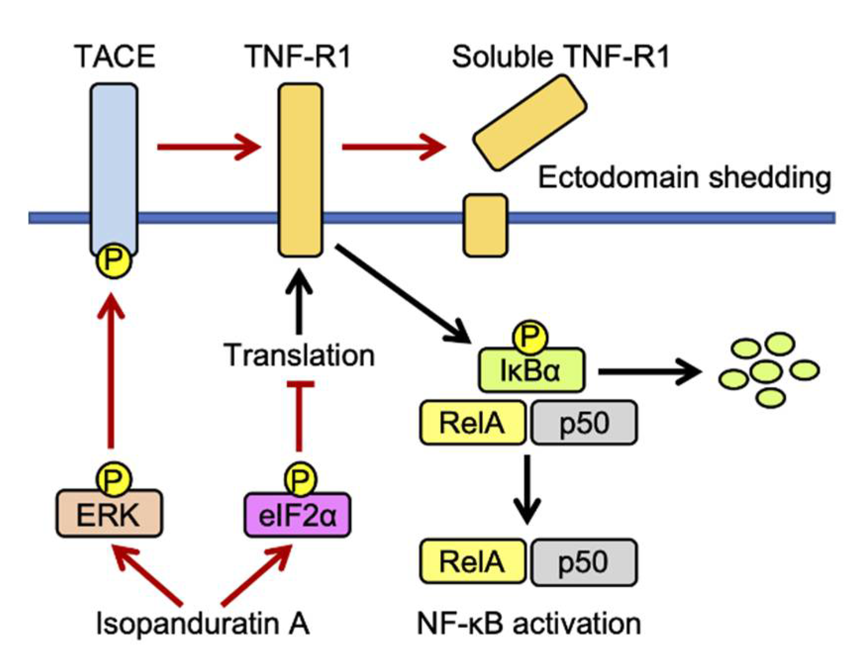 Biochem 01 00014 g010