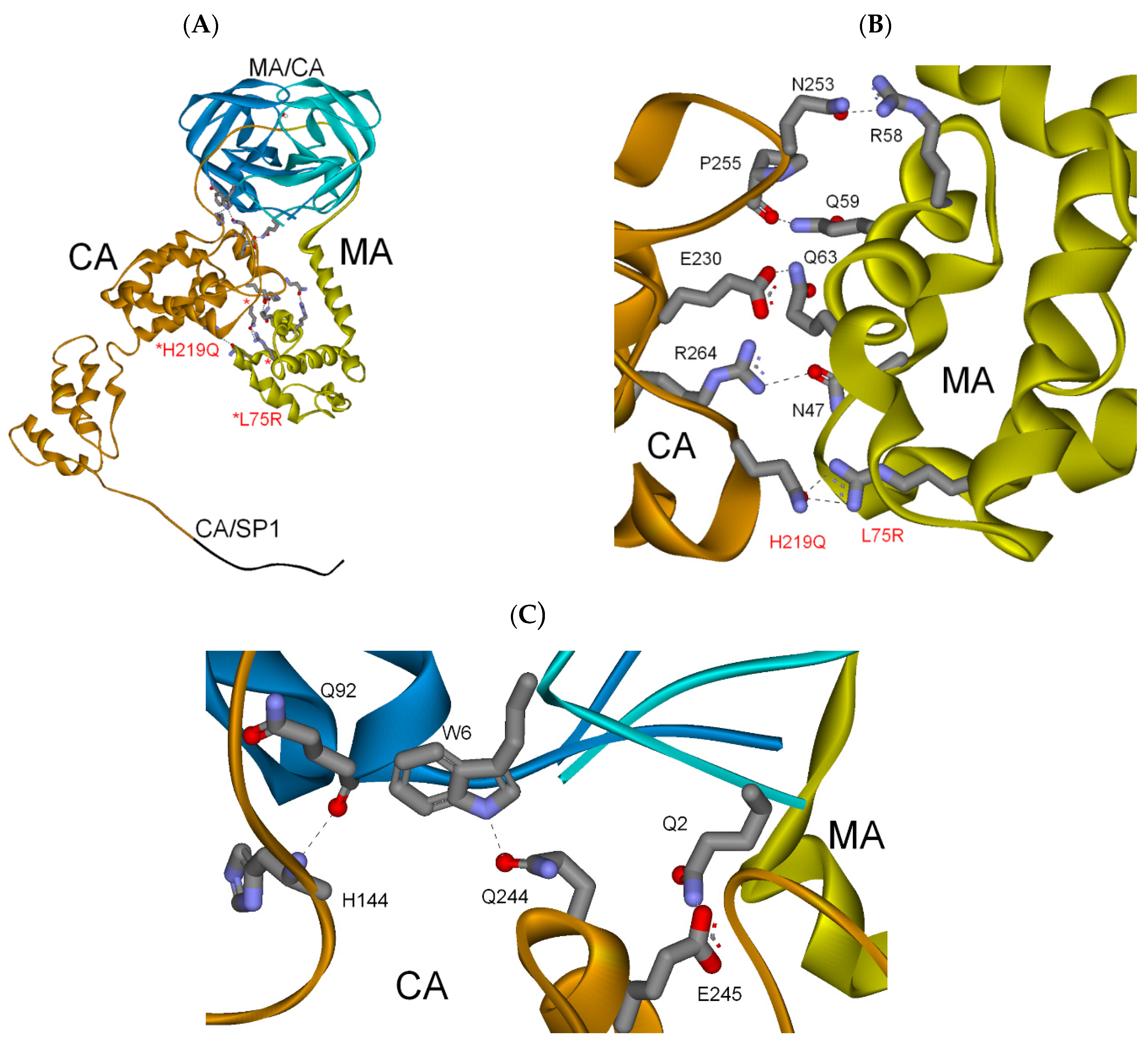 Biochem 01 00015 g006 Biochem 01 00015 g006