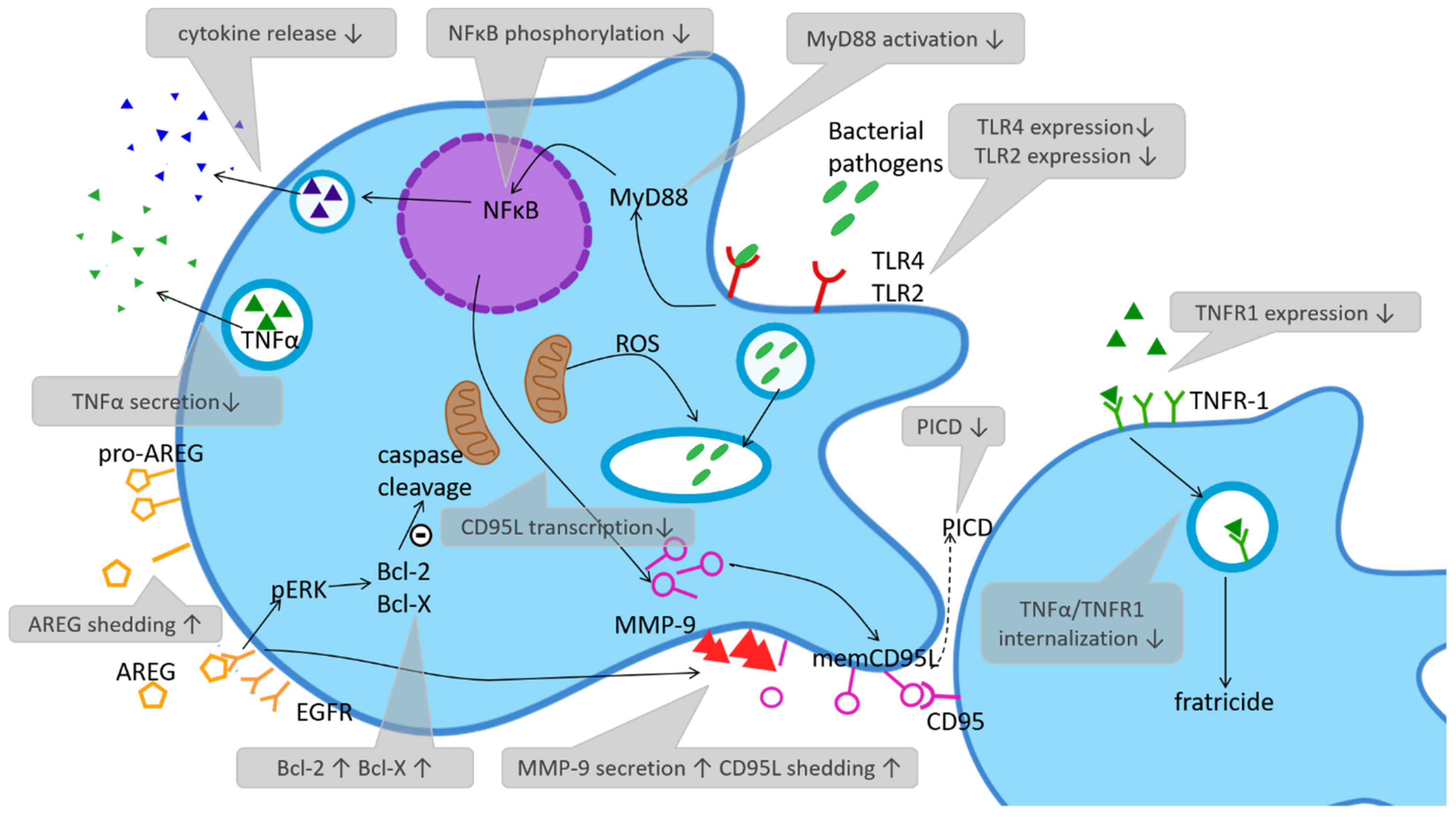 Biochem 02 00003 g001