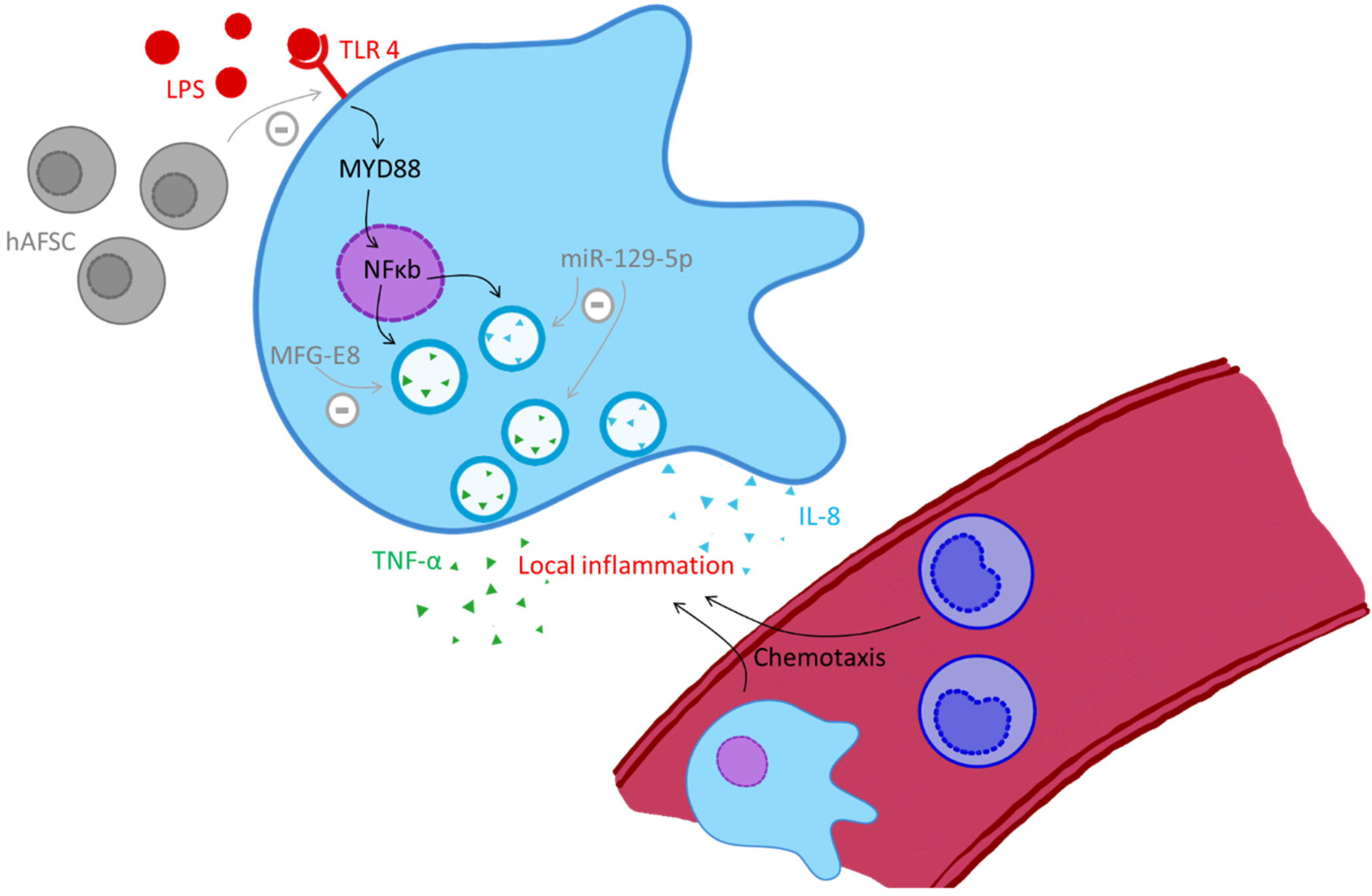 Biochem 02 00003 g002