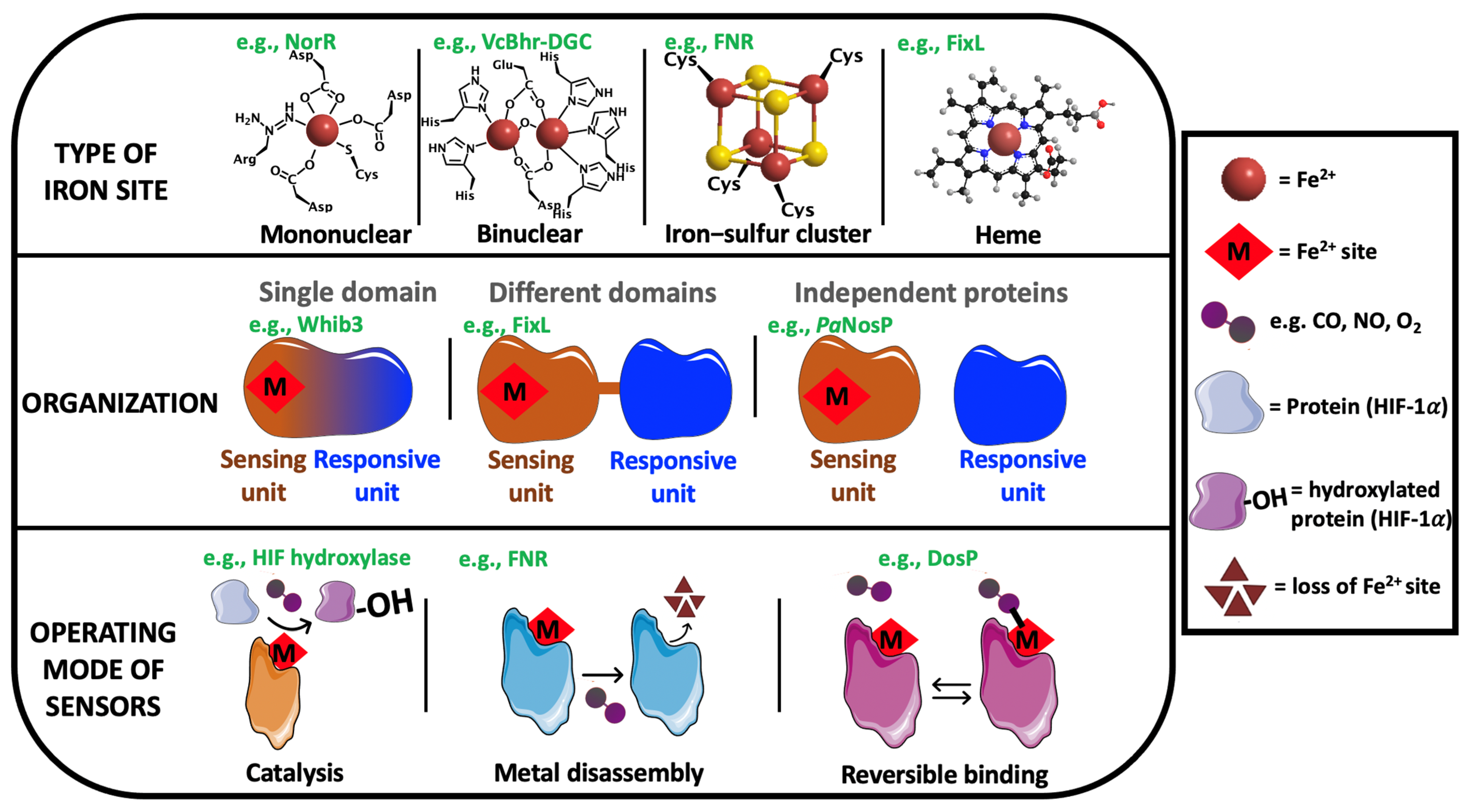 Biochem 02 00004 g001