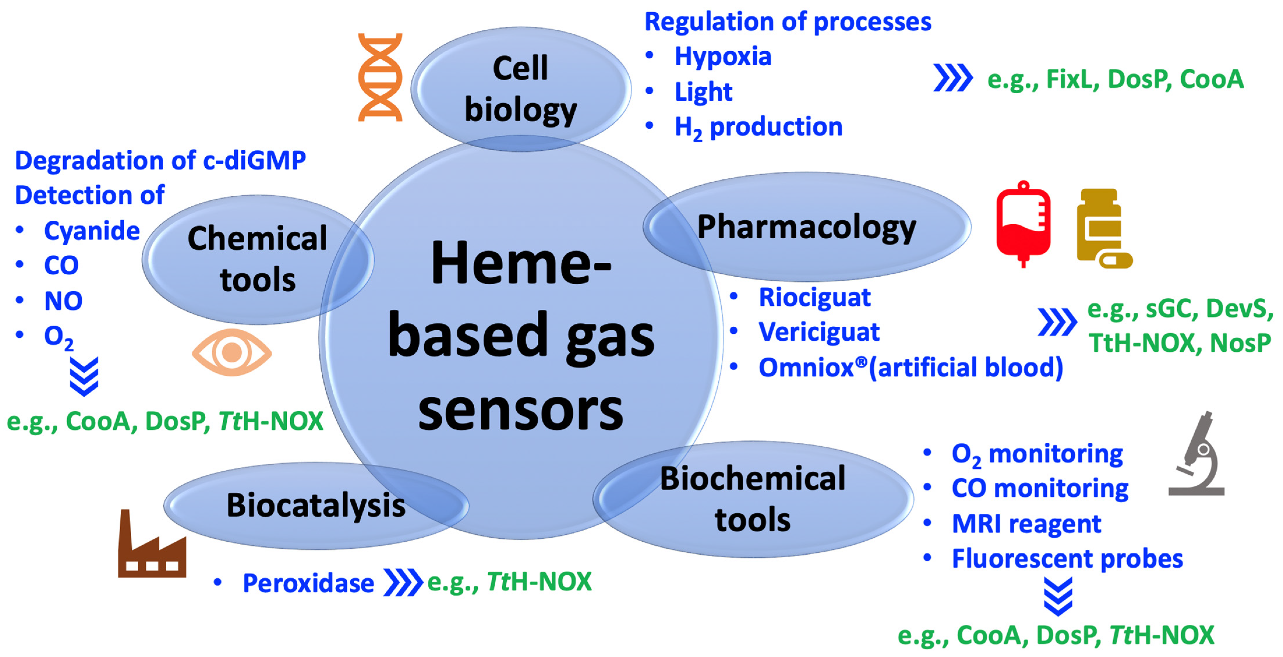 Biochem 02 00004 g004
