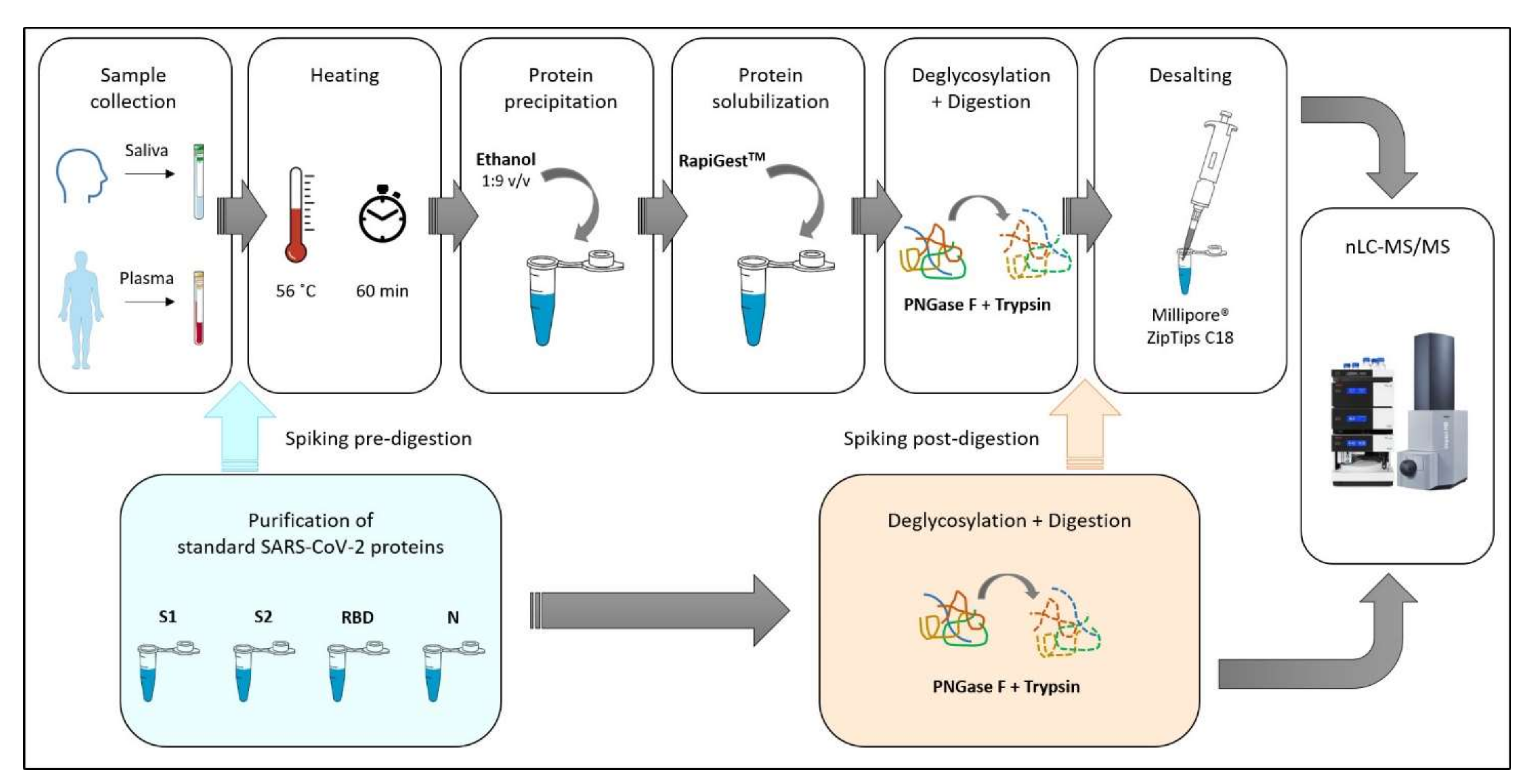 Biochem 02 00005 g001