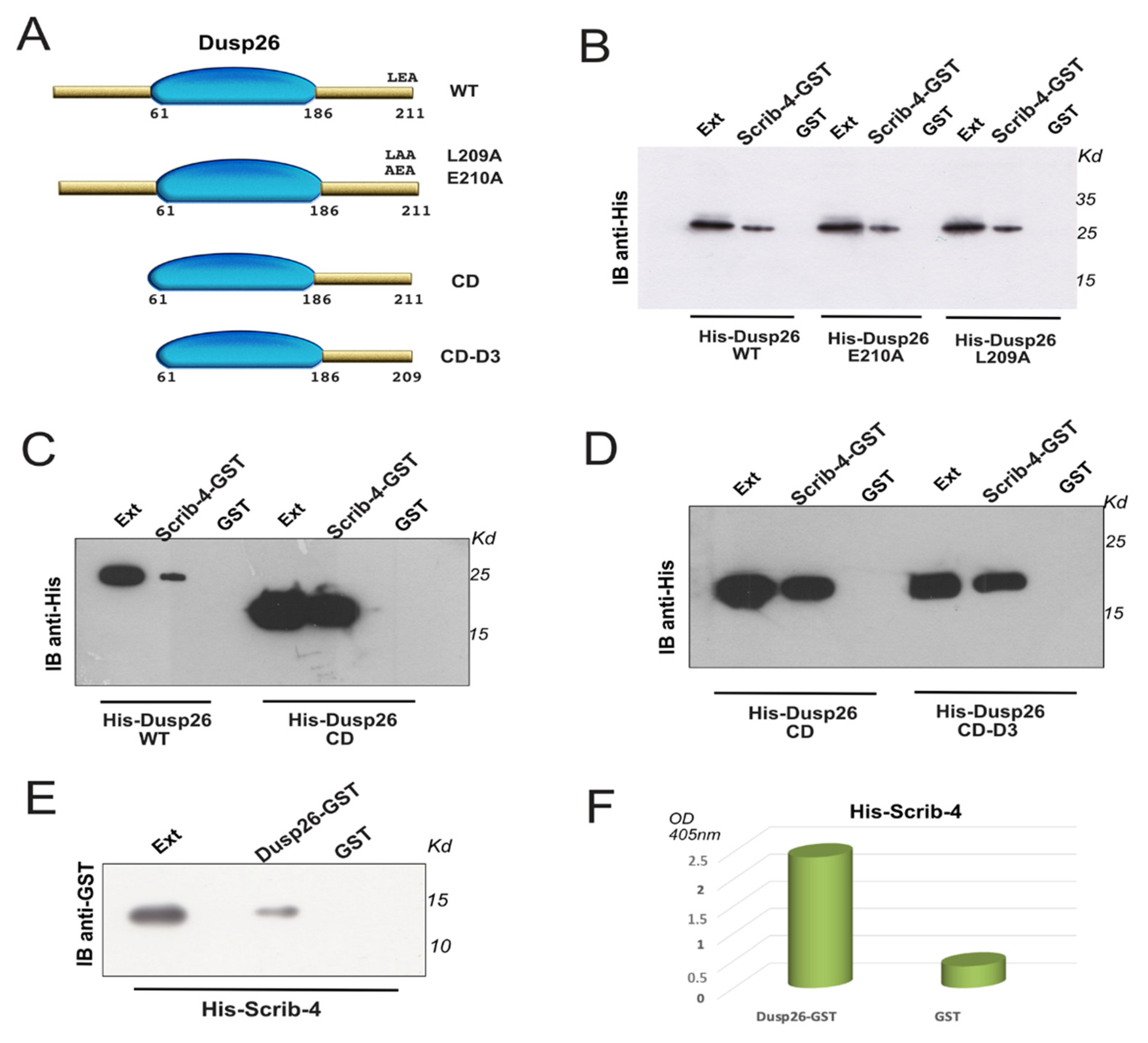 Biochem 02 00006 g001 Biochem 02 00006 g001