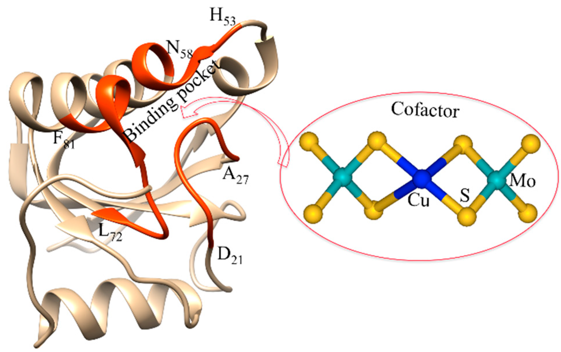 Biochem 02 00013 g005 Biochem 02 00013 g005