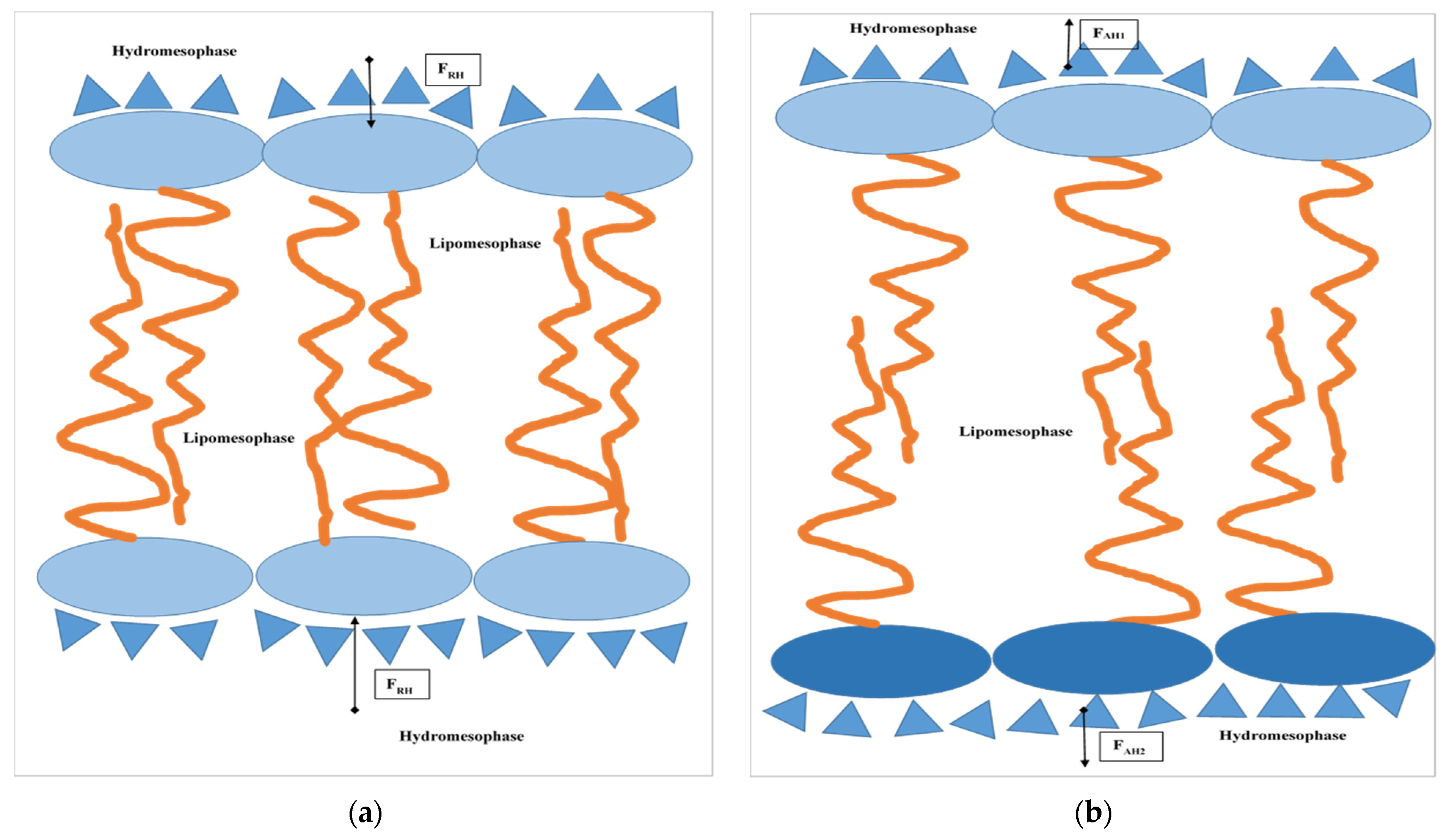 Biochem 02 00016 g002