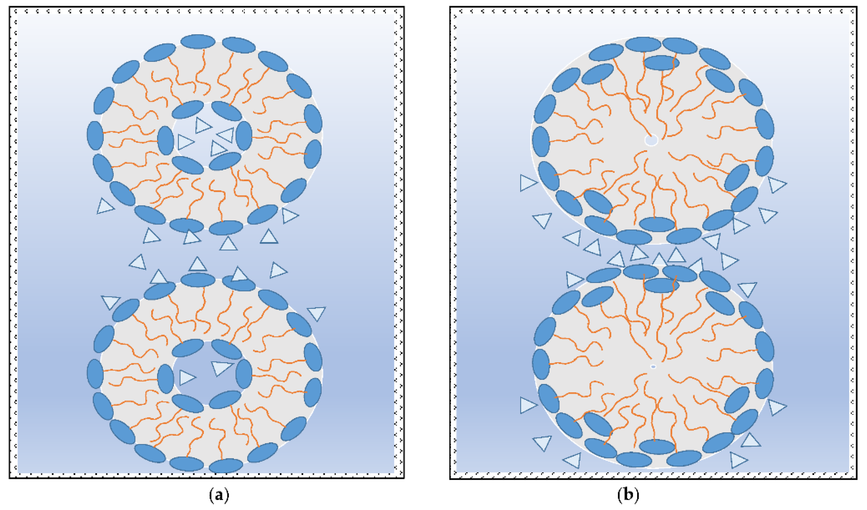 Biochem 02 00016 g004