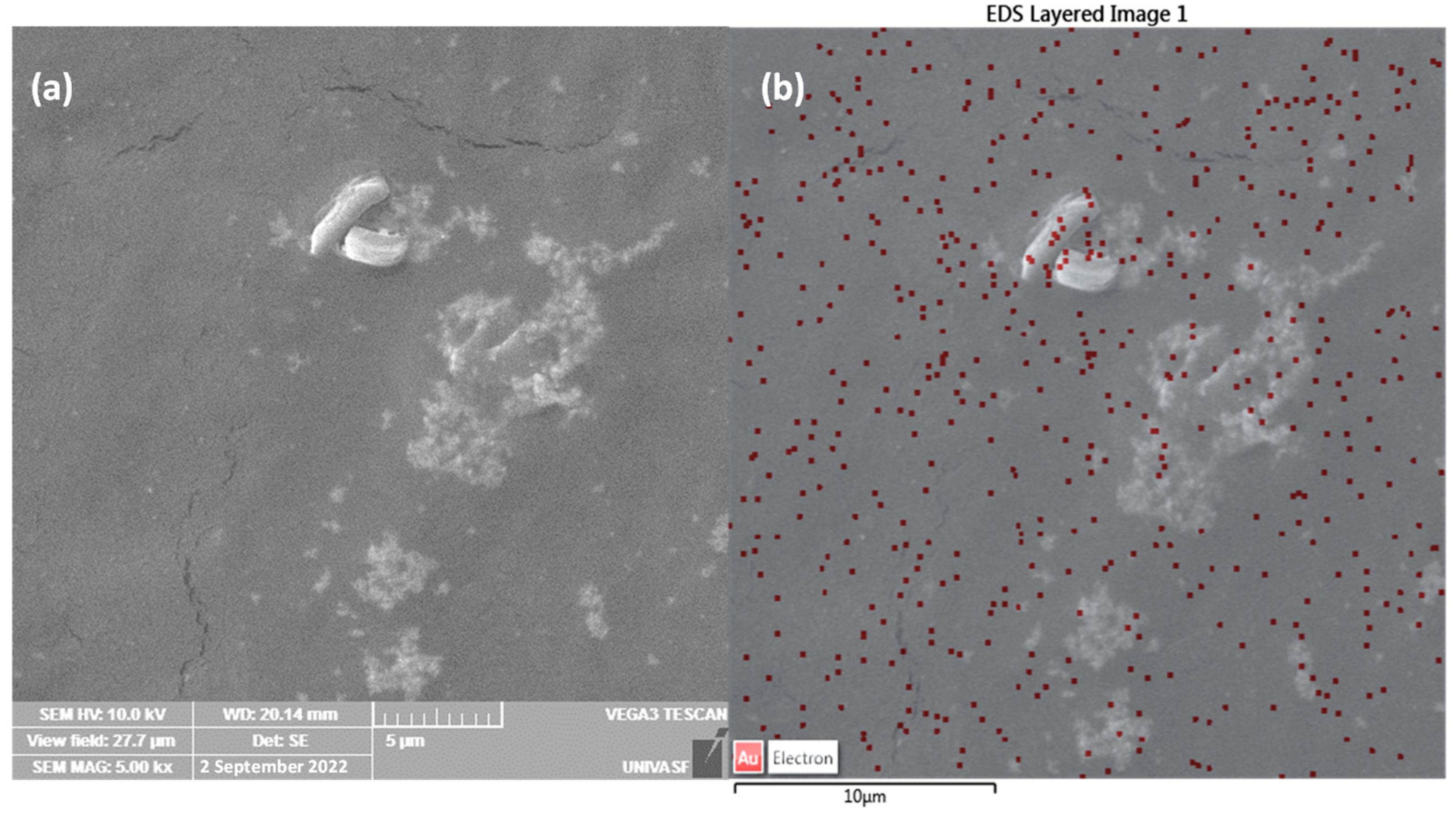 Biochem 02 00019 g002