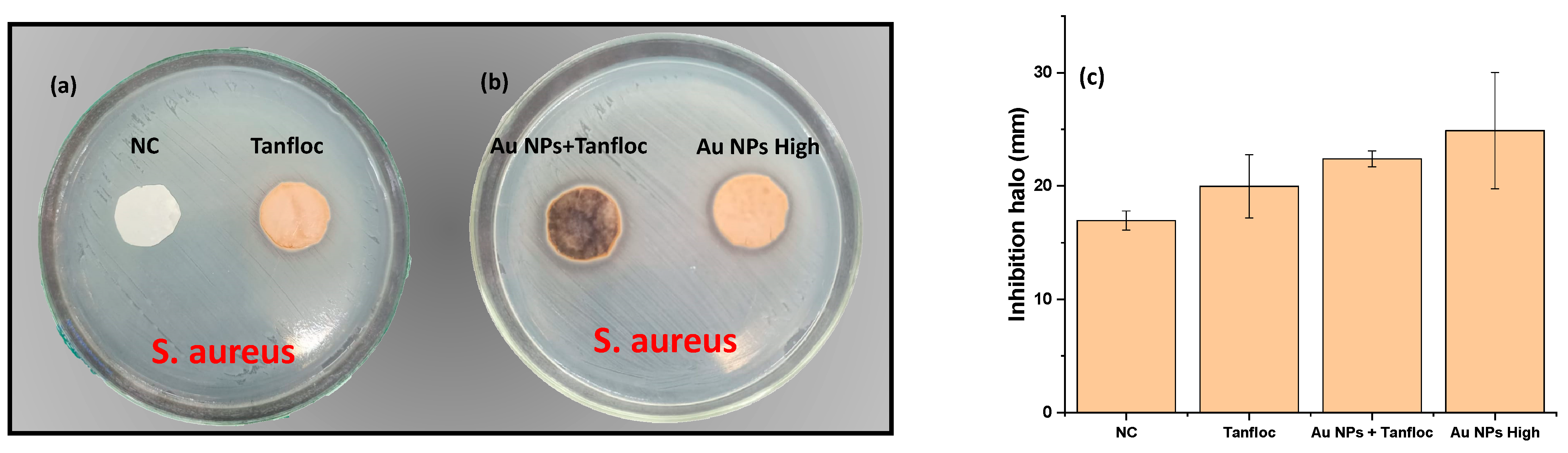 Biochem 02 00019 g005