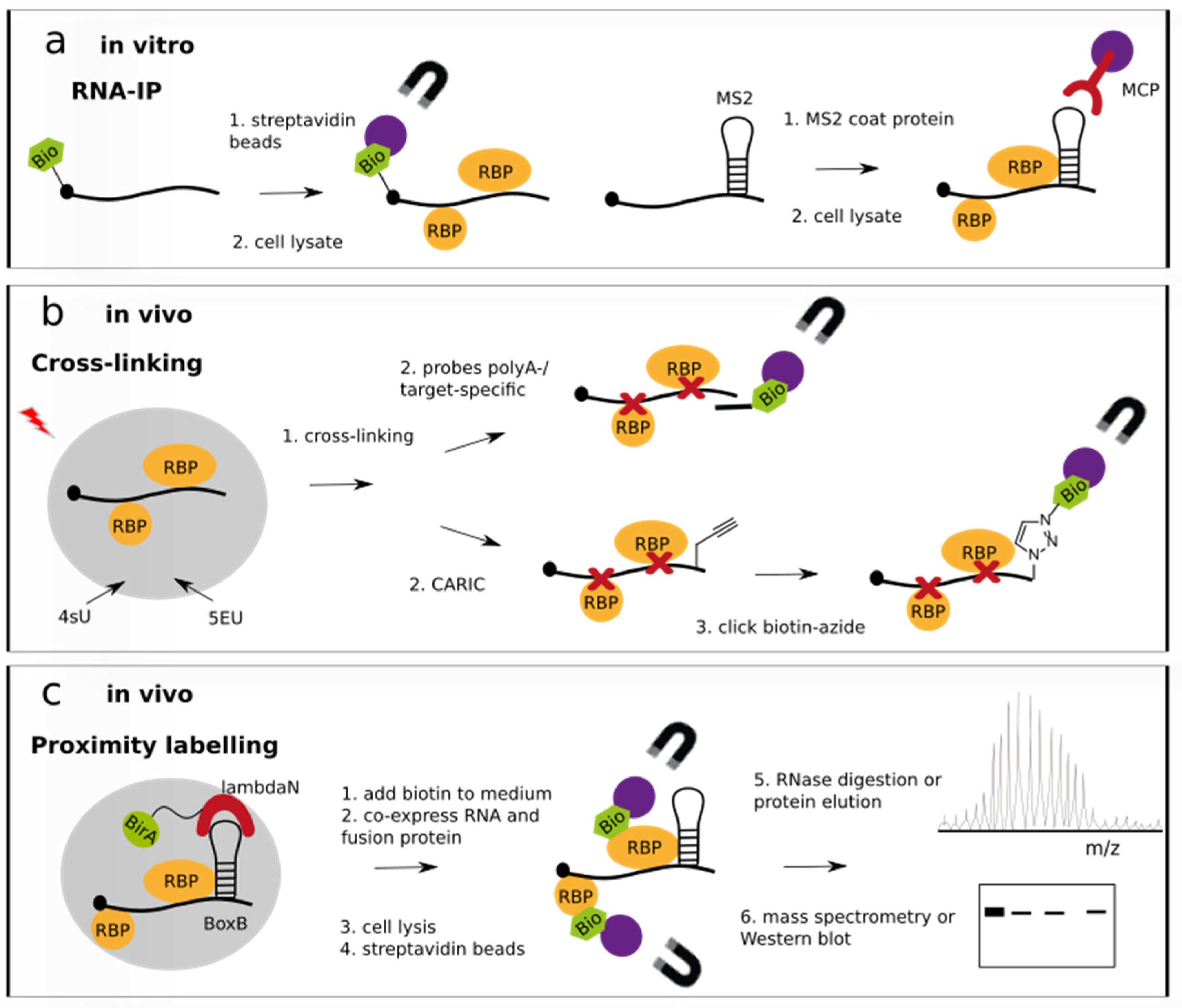 Biochem 03 00001 g001