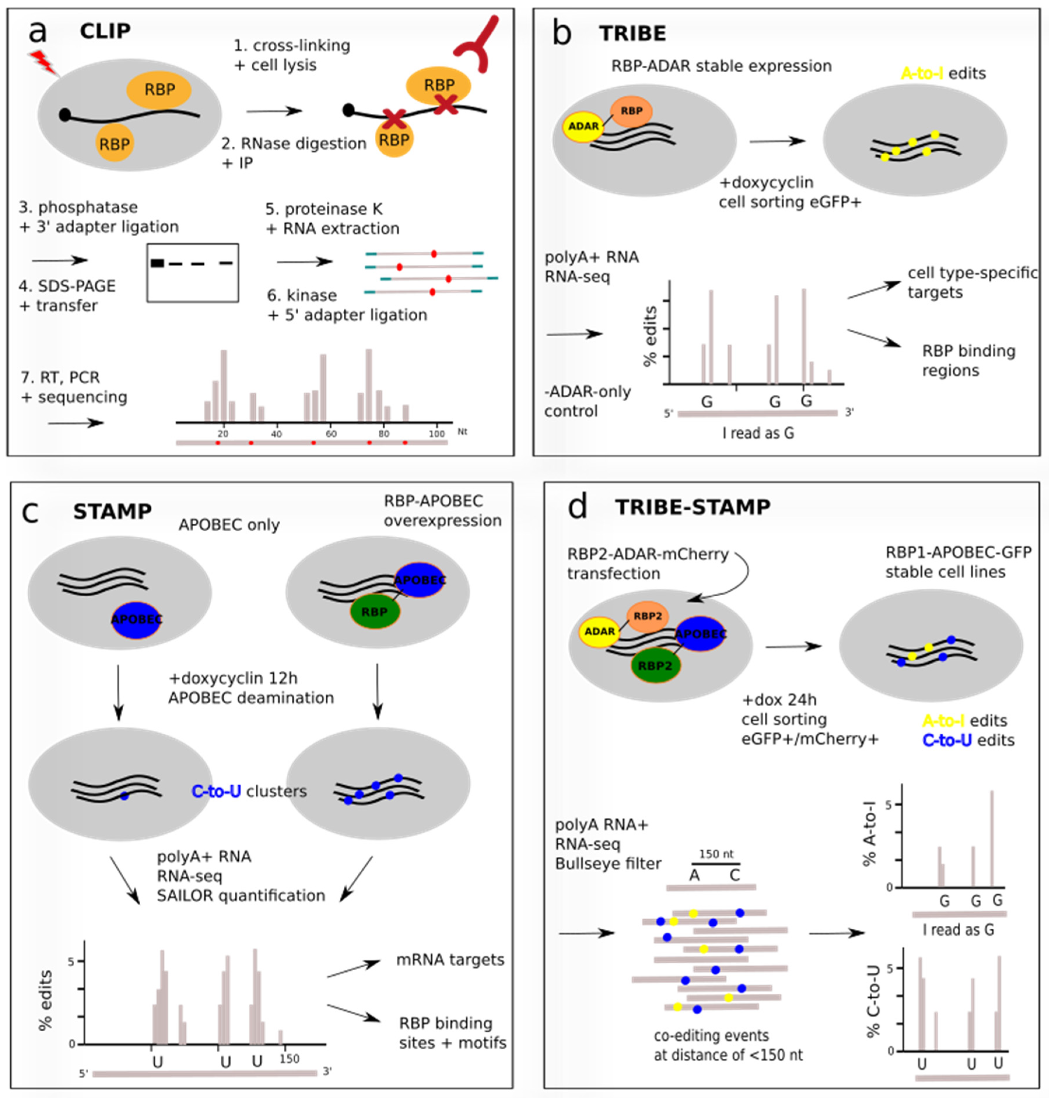 Biochem 03 00001 g002