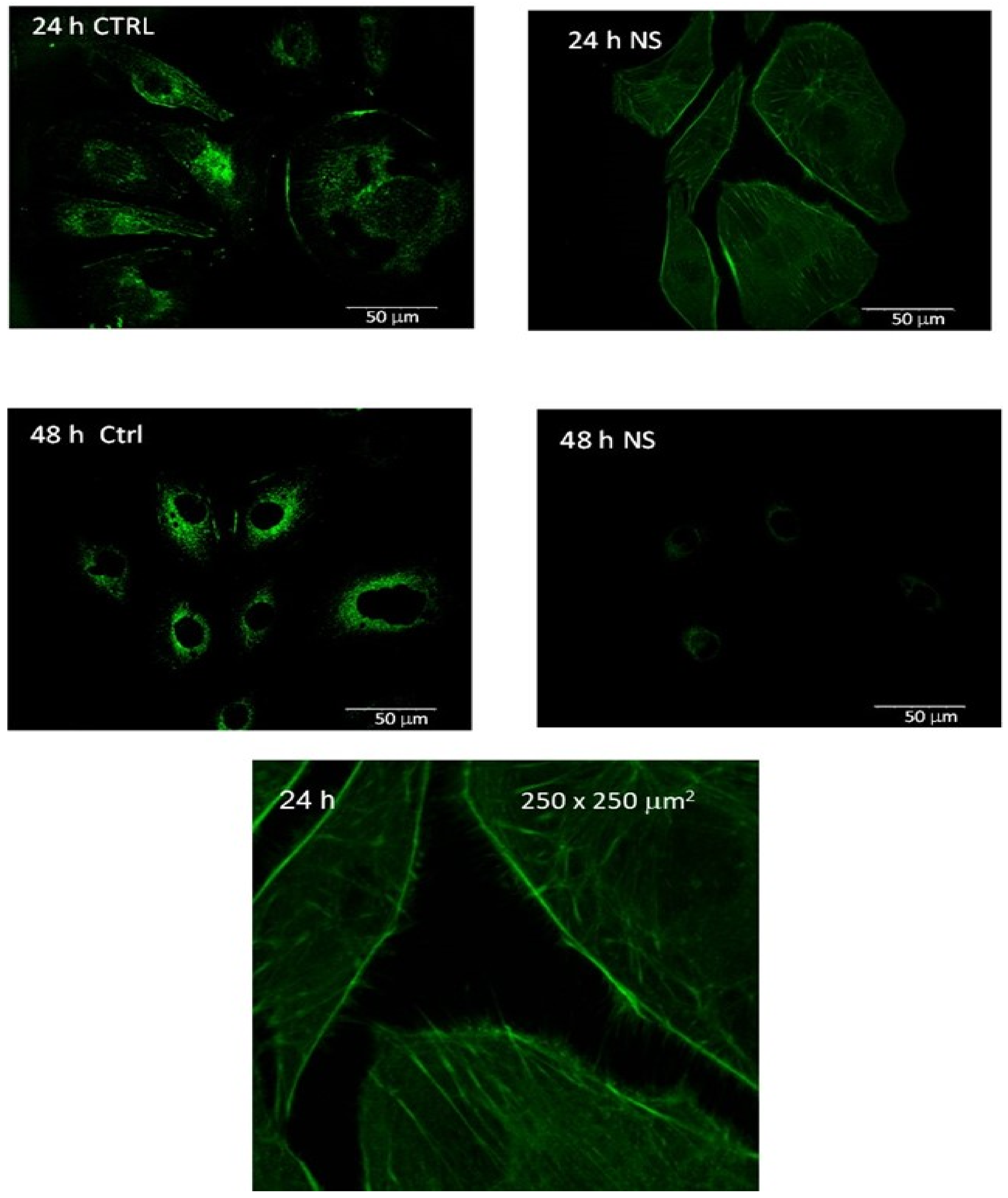Biochem 03 00002 g002