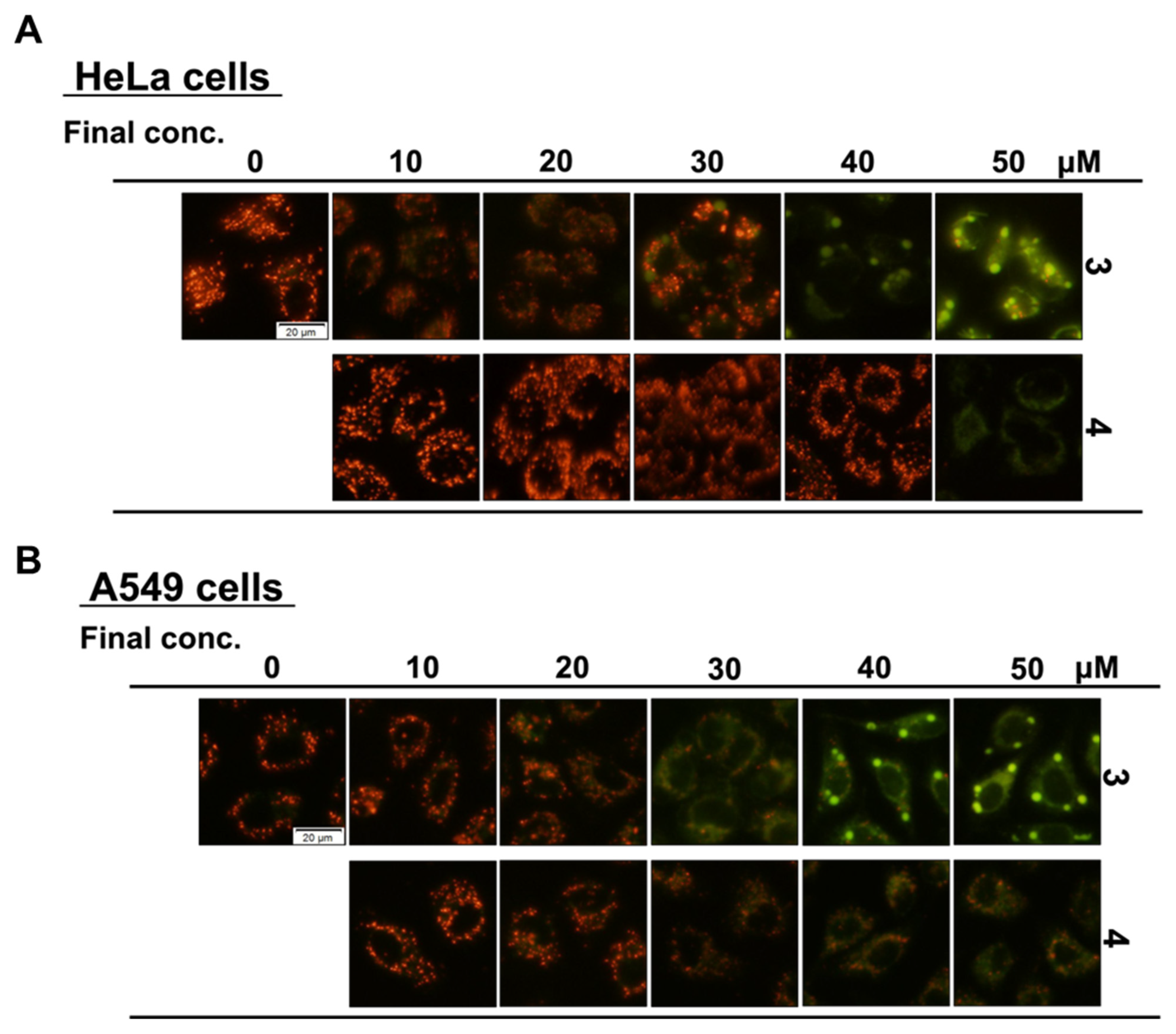 Biochem 03 00005 g007