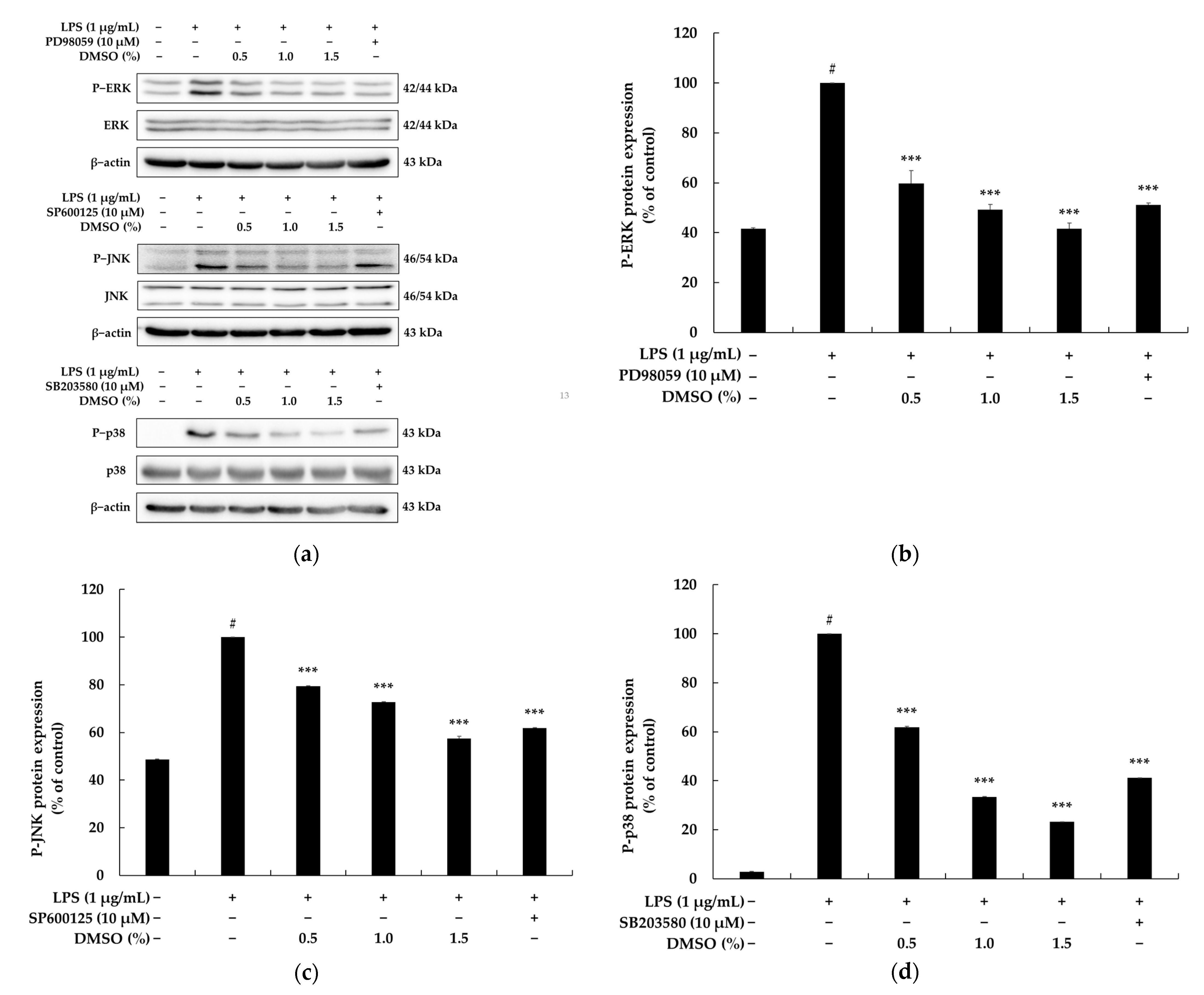 Biochem 03 00007 g004