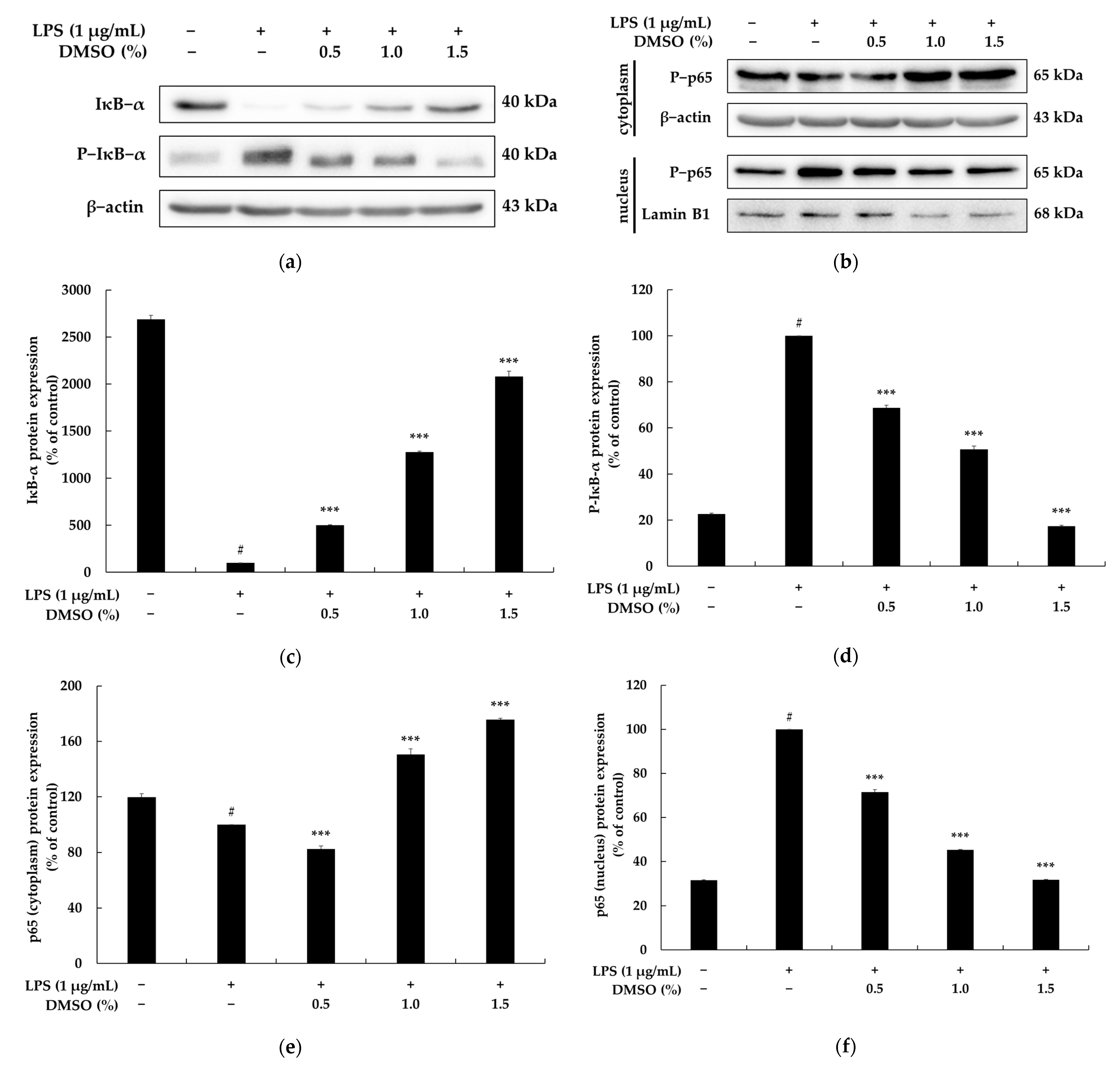 Biochem 03 00007 g005