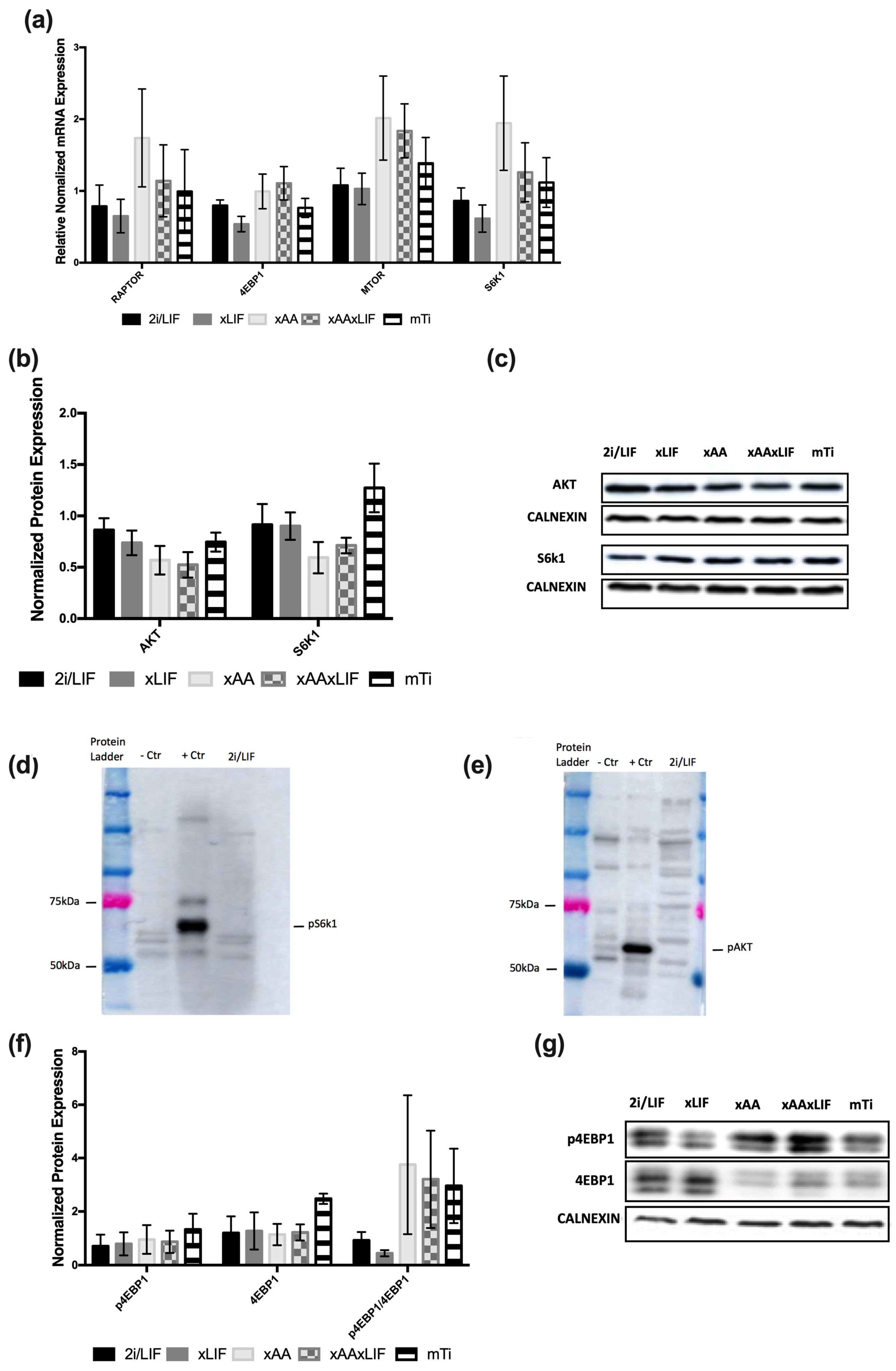 Biochem 03 00012 g002