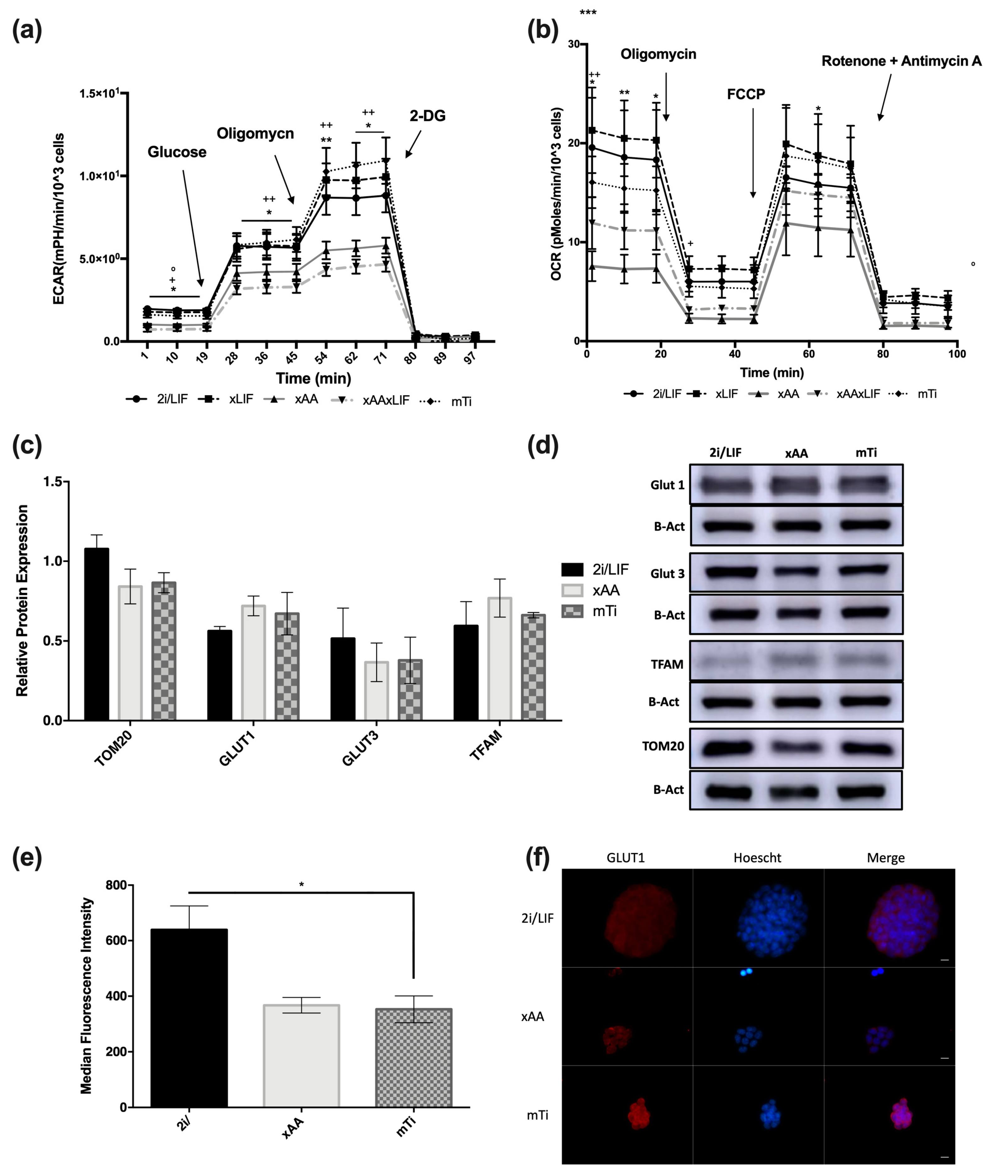 Biochem 03 00012 g003