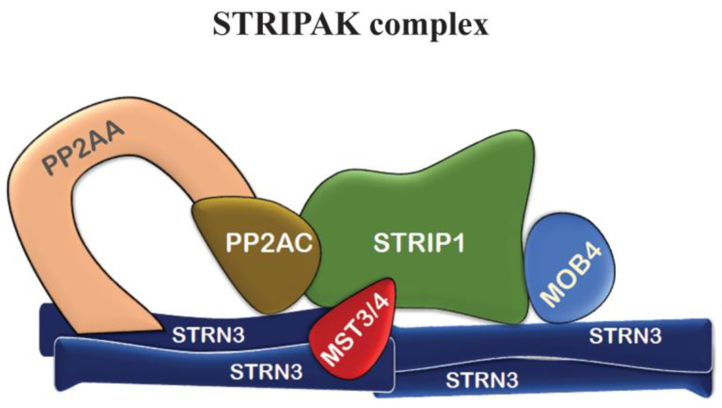 Biochem 03 00013 g002