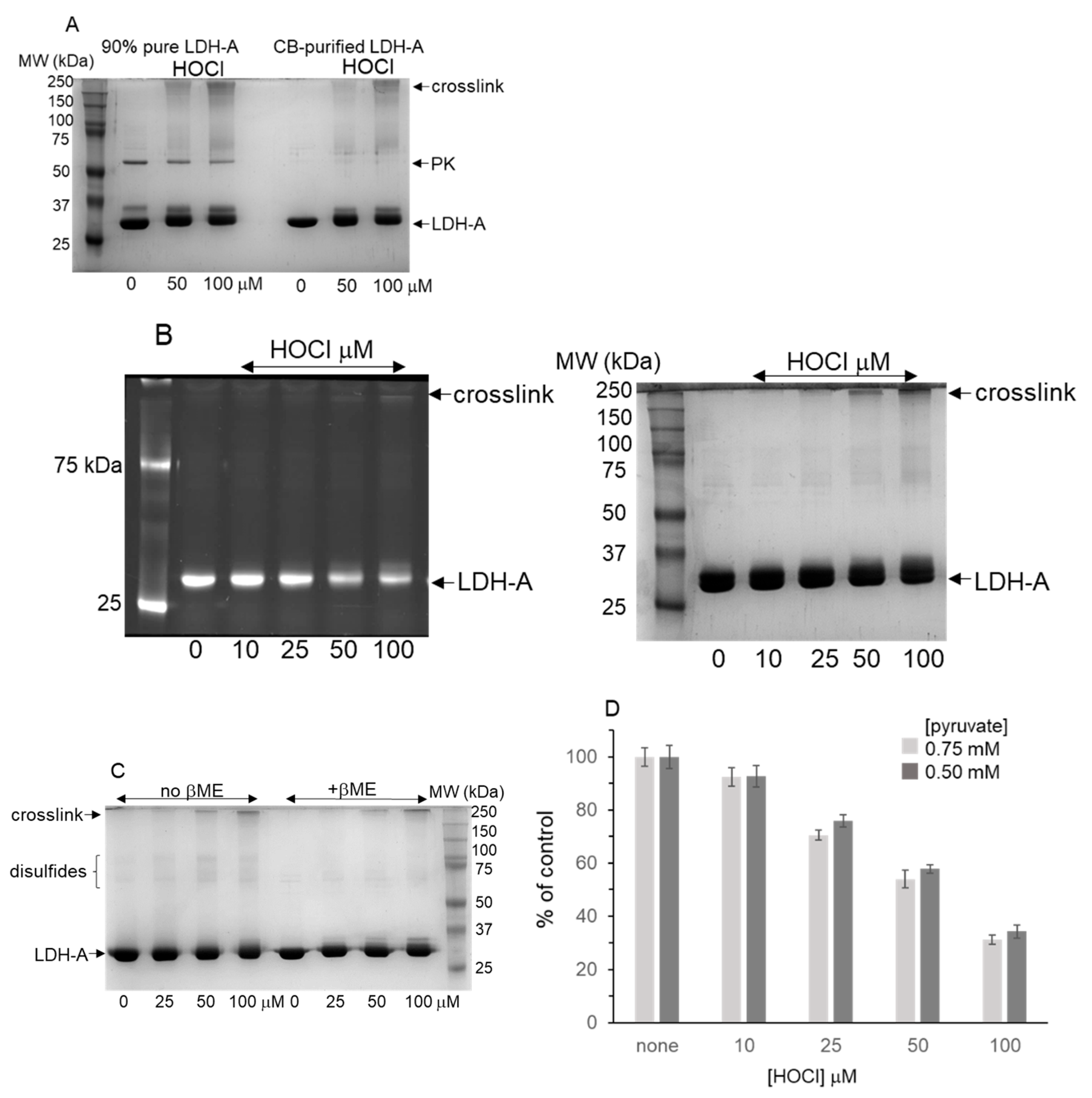 Biochem 04 00002 g002