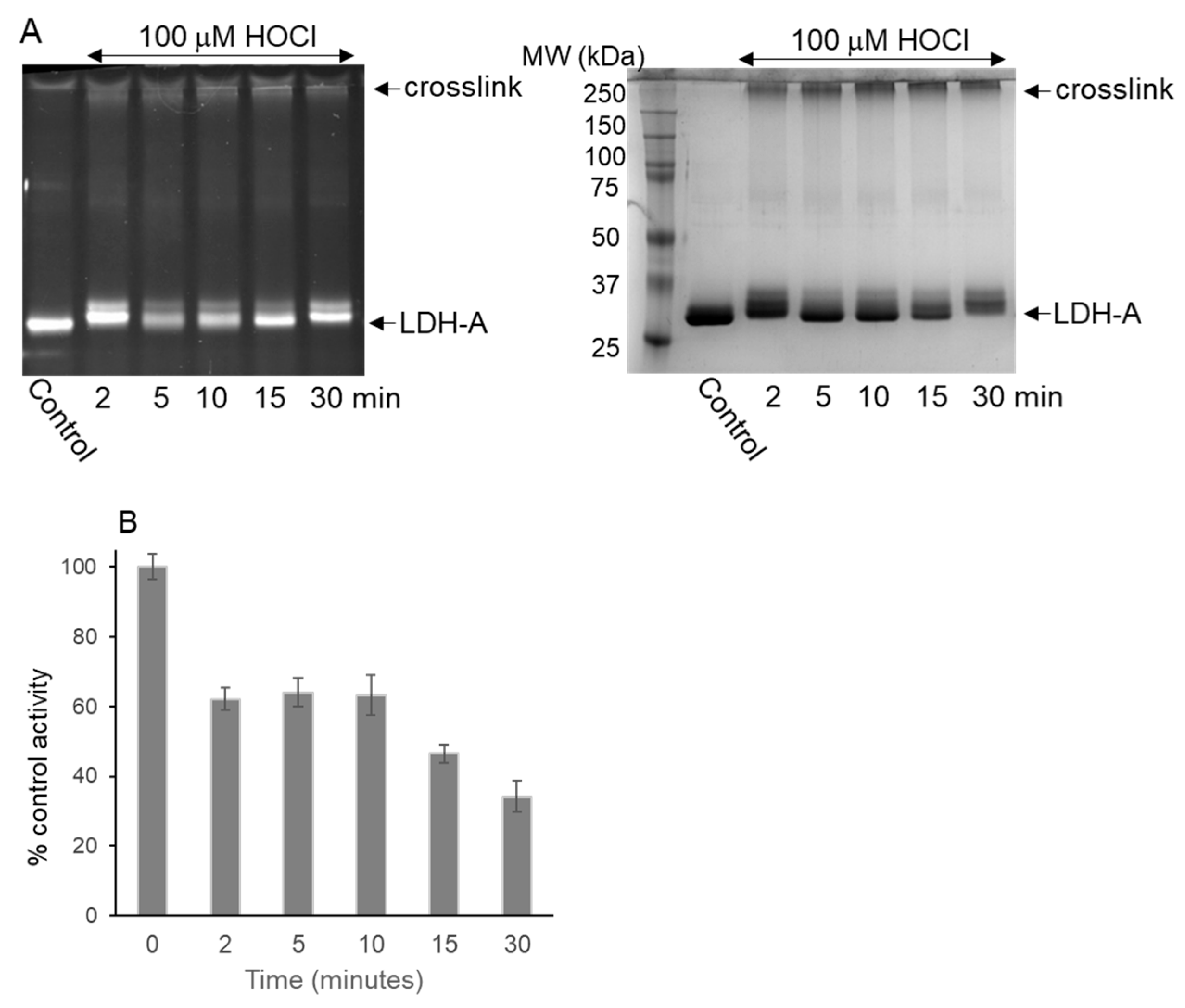 Biochem 04 00002 g003