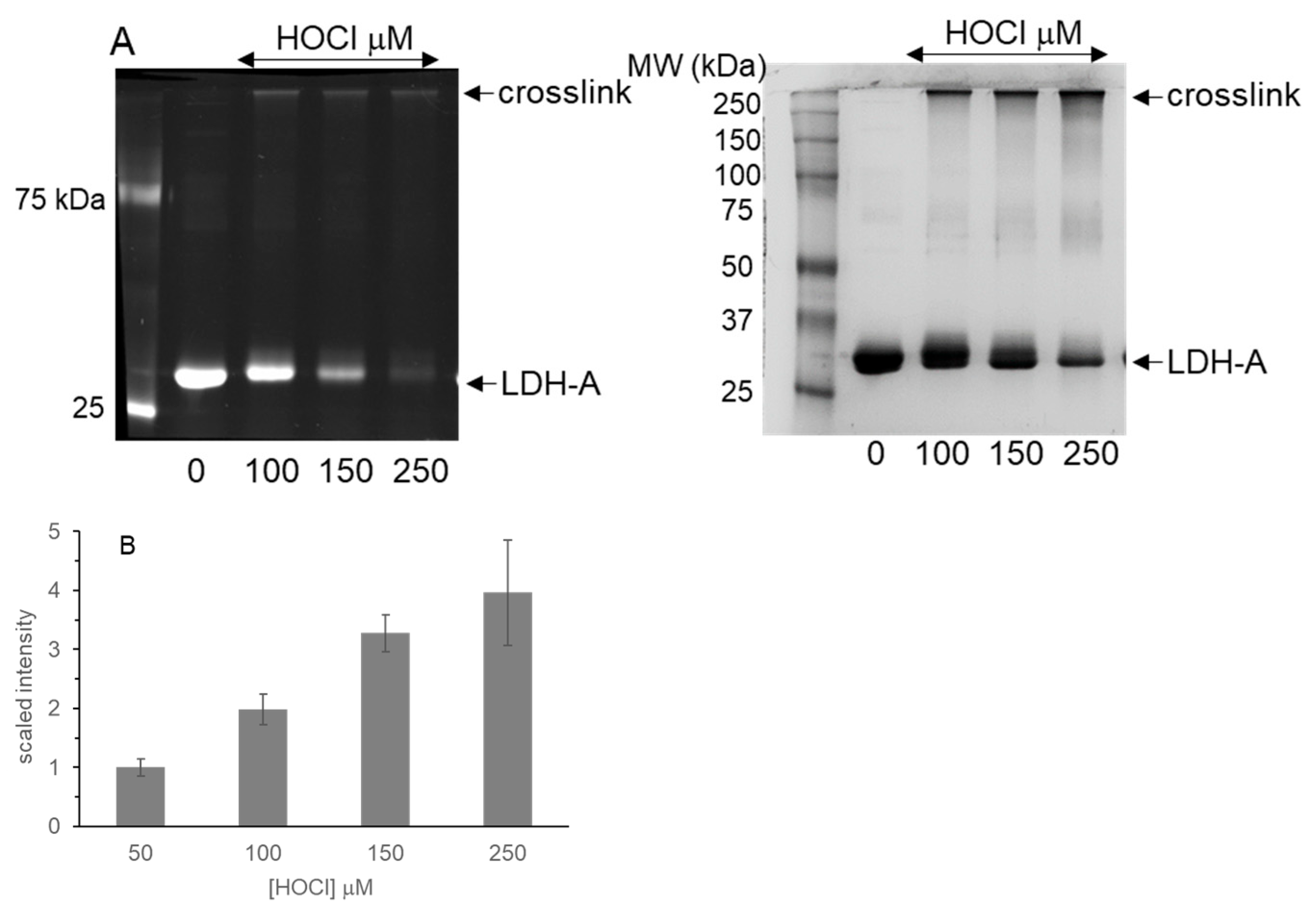 Biochem 04 00002 g006