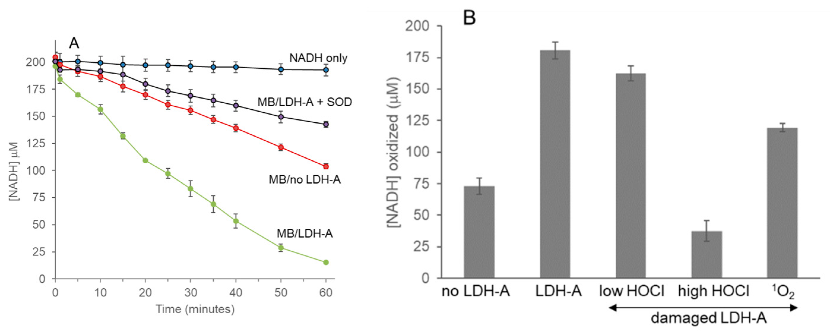 Biochem 04 00002 g007