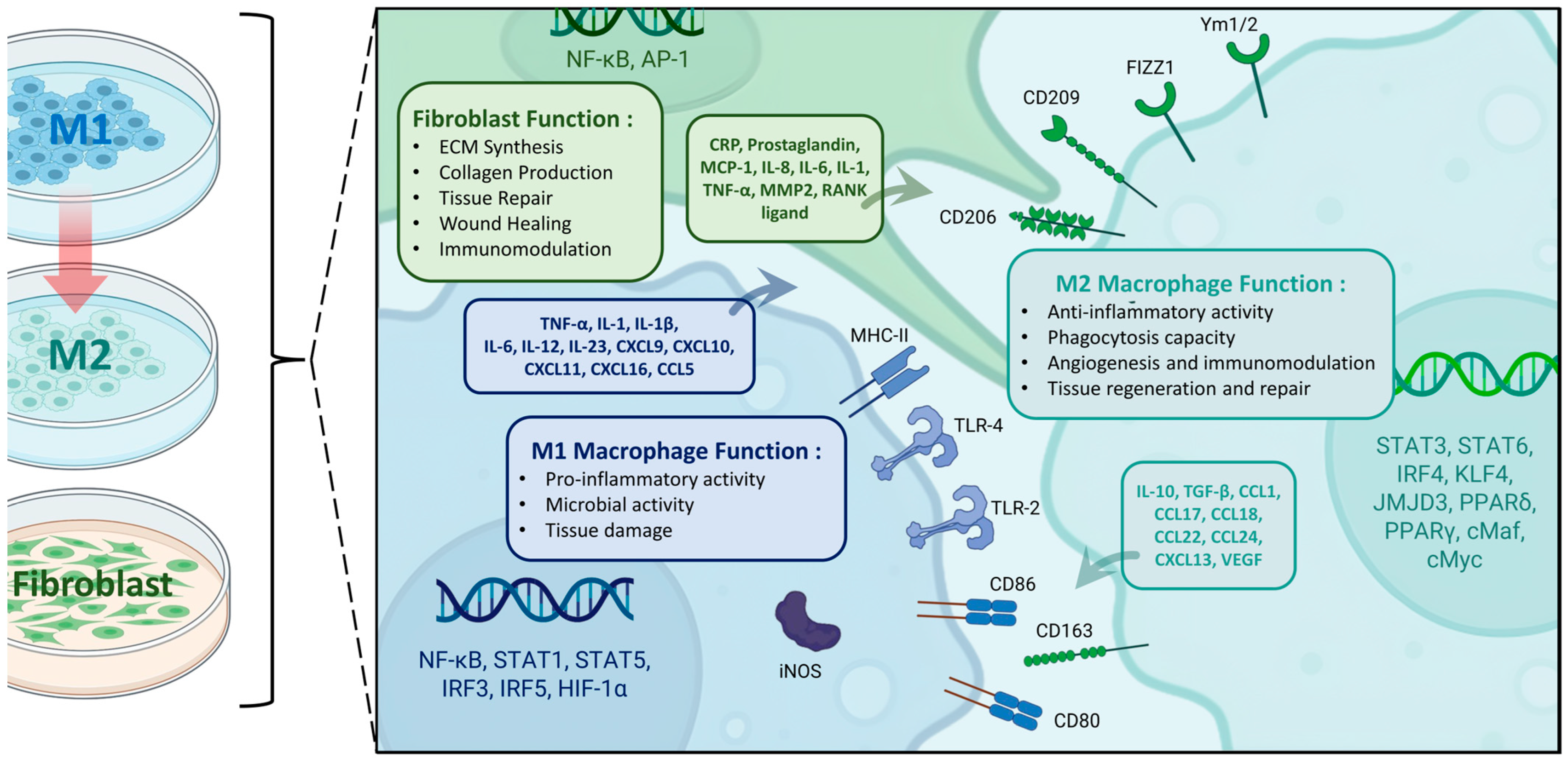 Biochem 04 00003 g002
