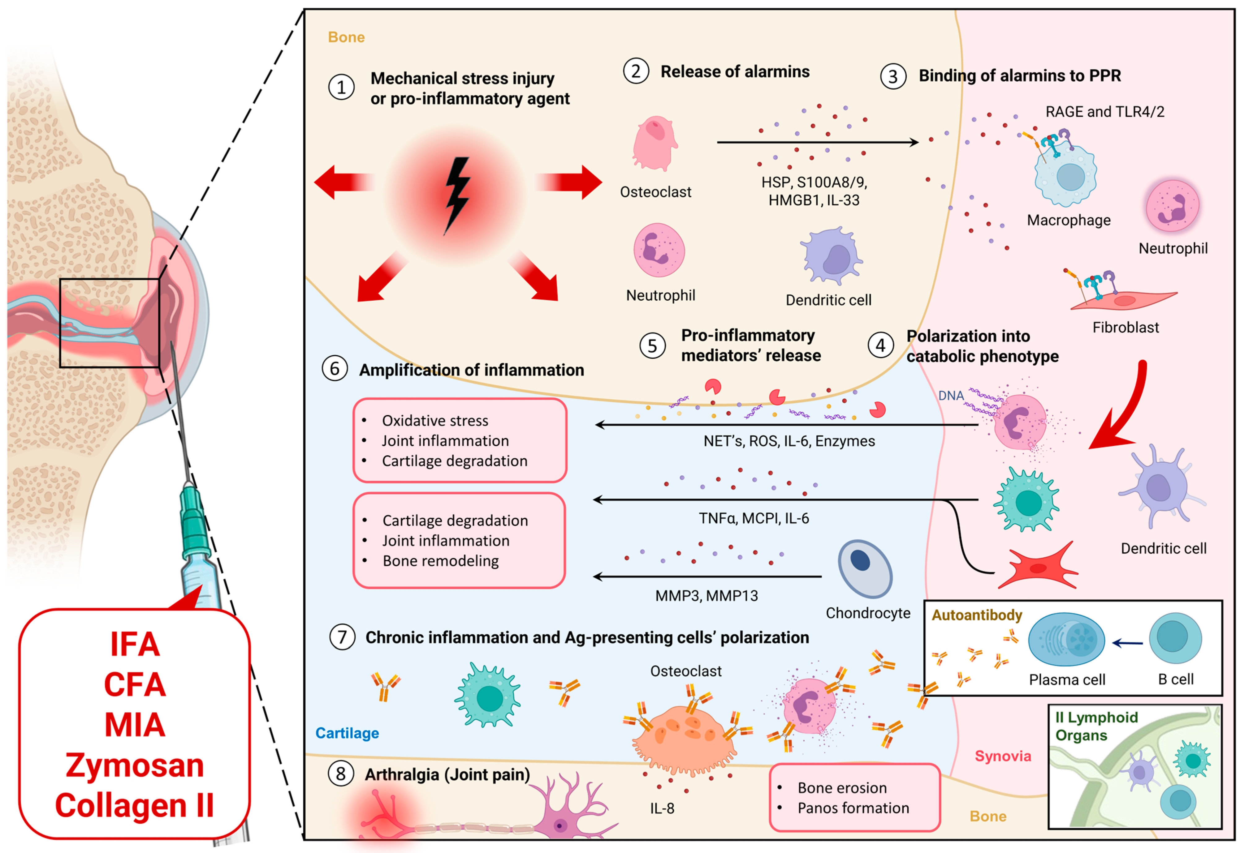 Biochem 04 00003 g003