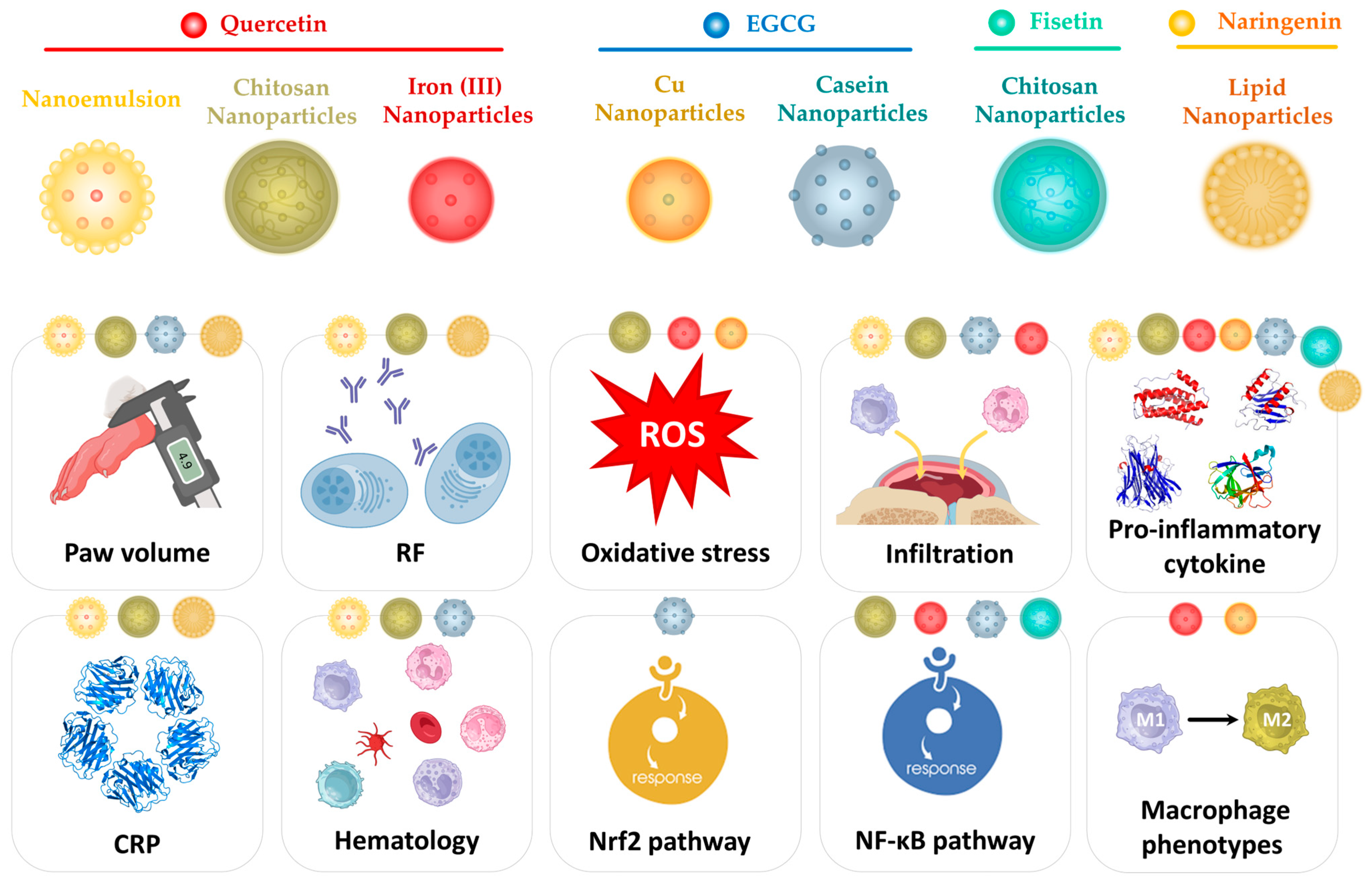 Biochem 04 00003 g005