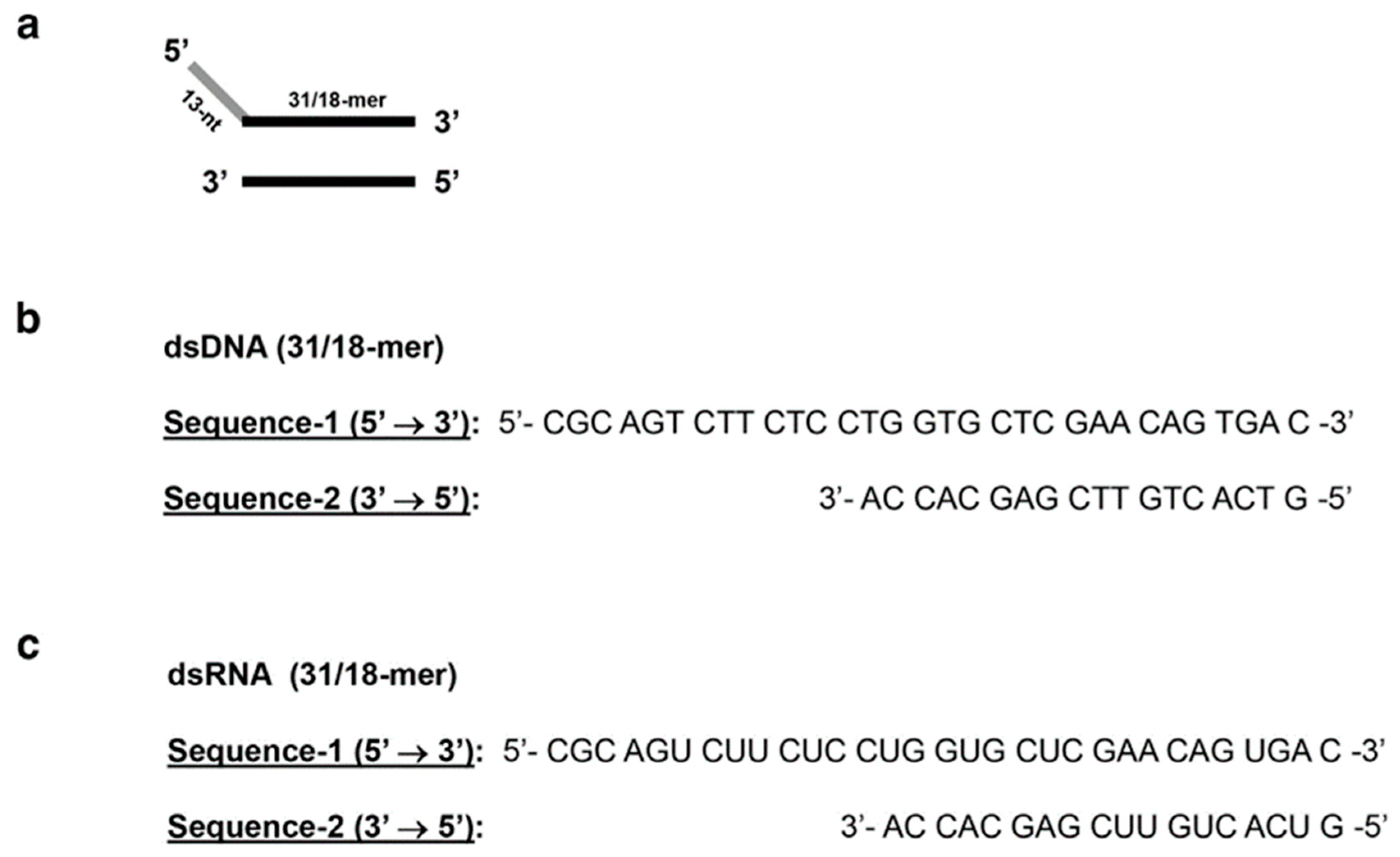 Biochem 04 00006 g002 Biochem 04 00006 g002