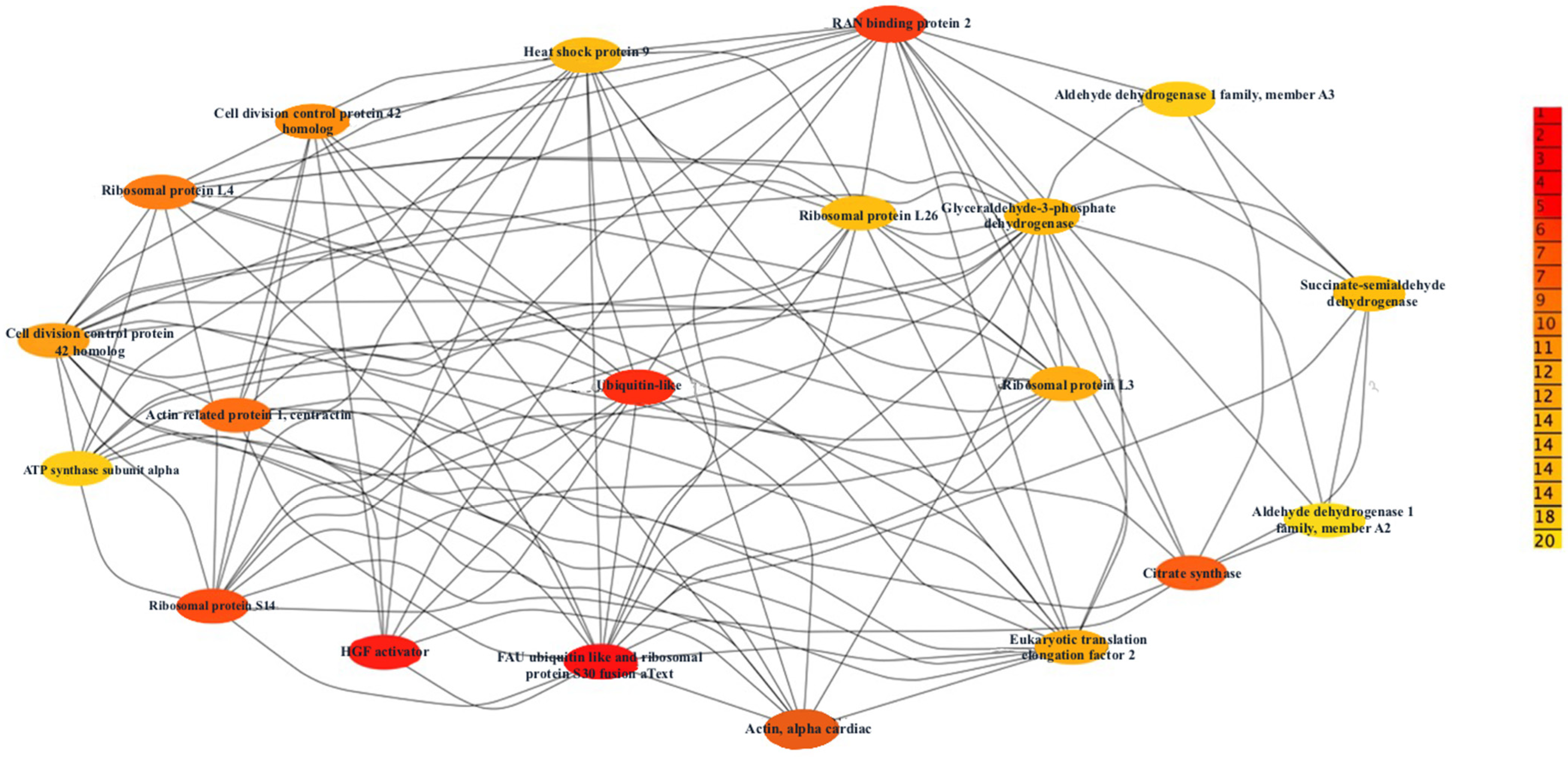 Biochem 04 00008 g008