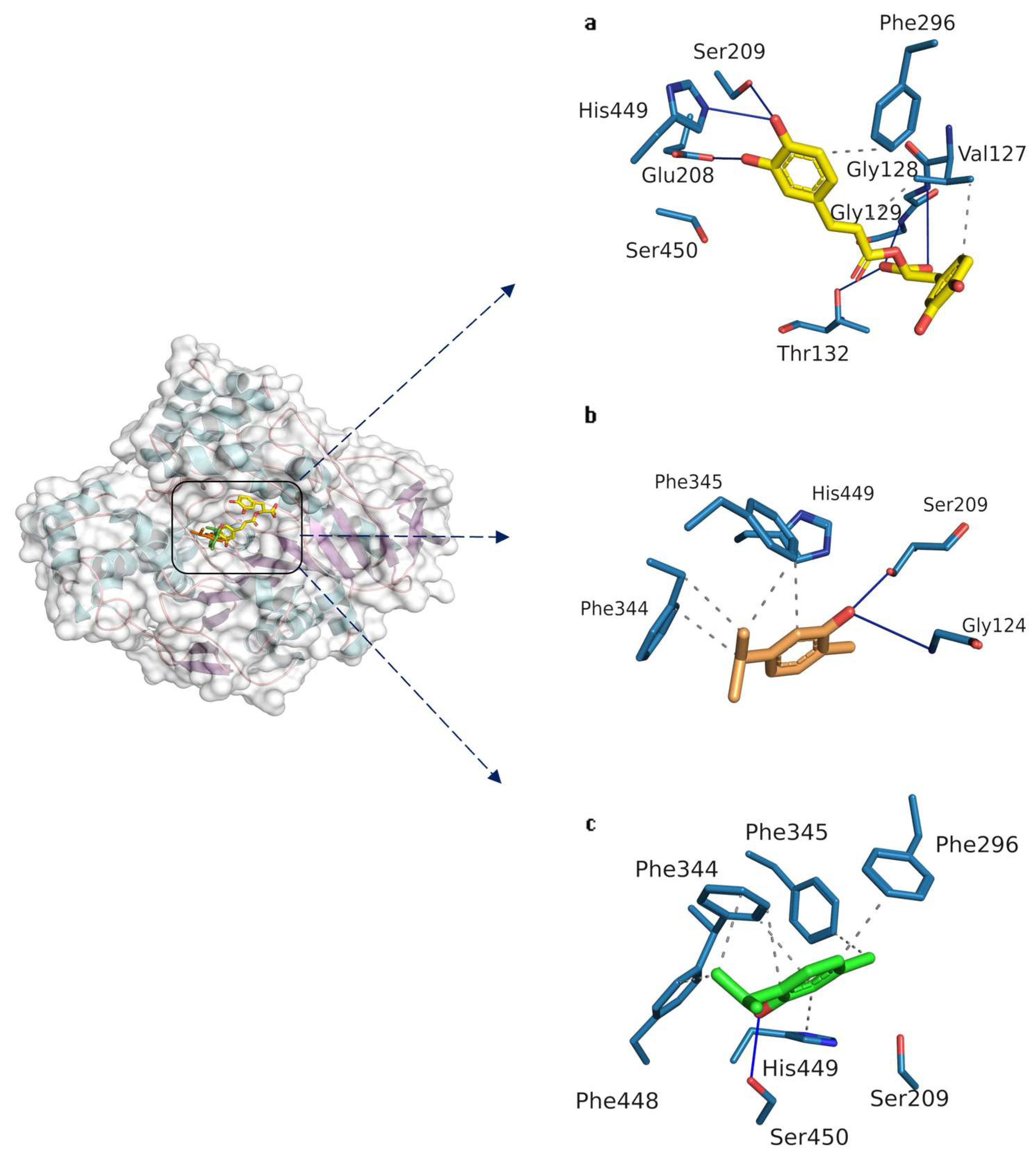 Biochem 04 00009 g003