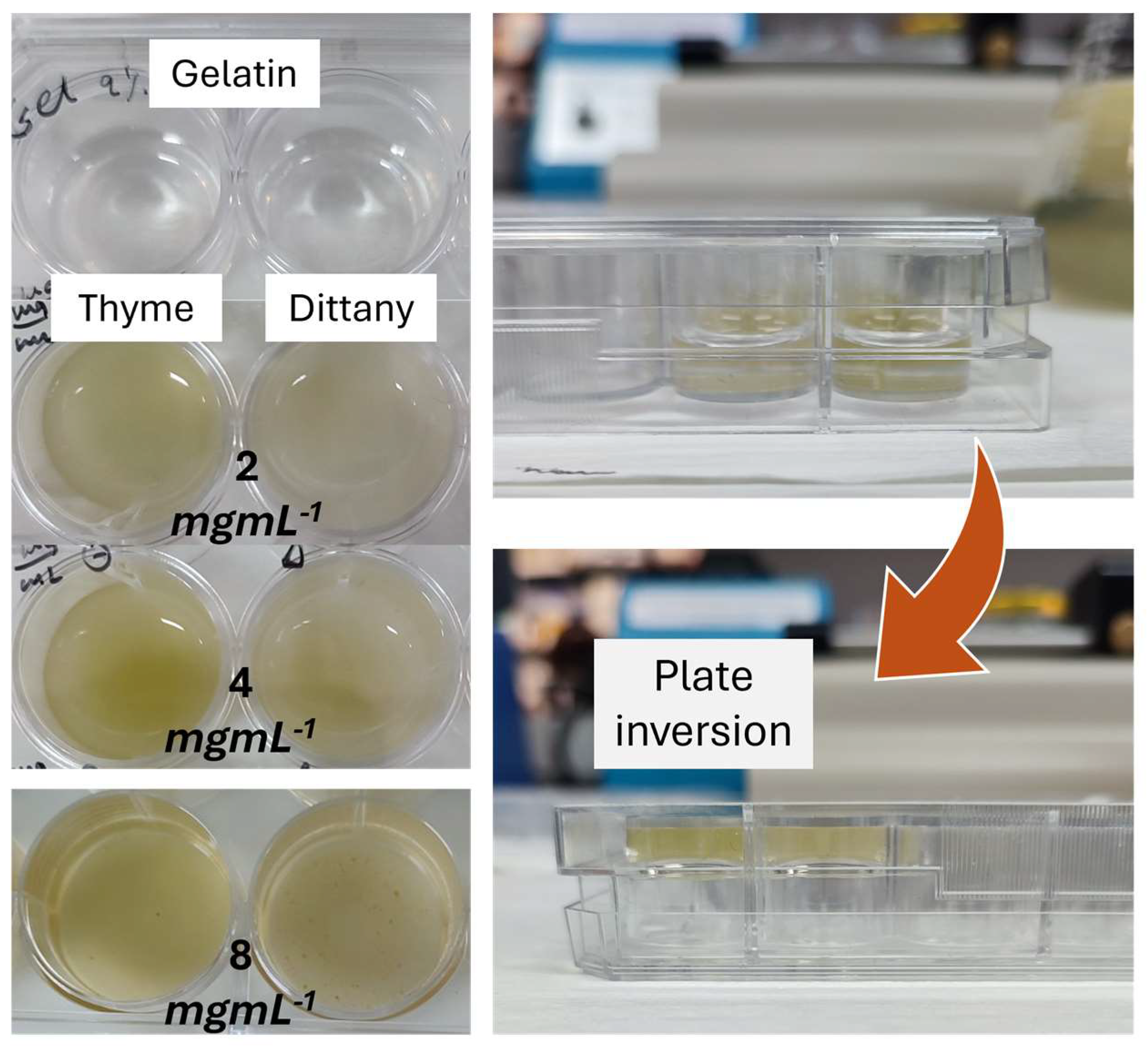 Biochem 04 00009 g005