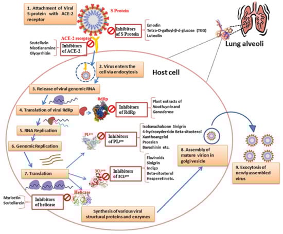 Biochem 04 00014 g001