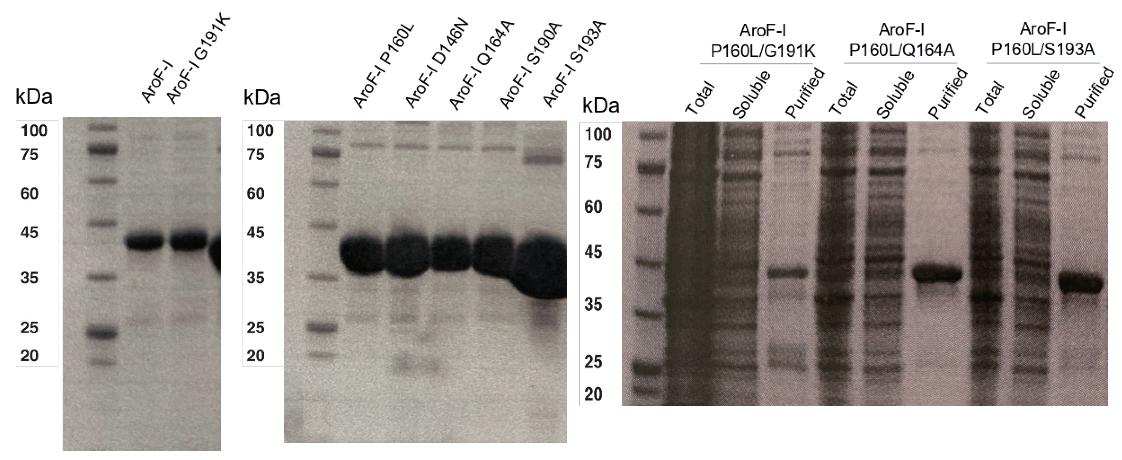 Biochem 05 00004 g0a2 Biochem 05 00004 g0a2