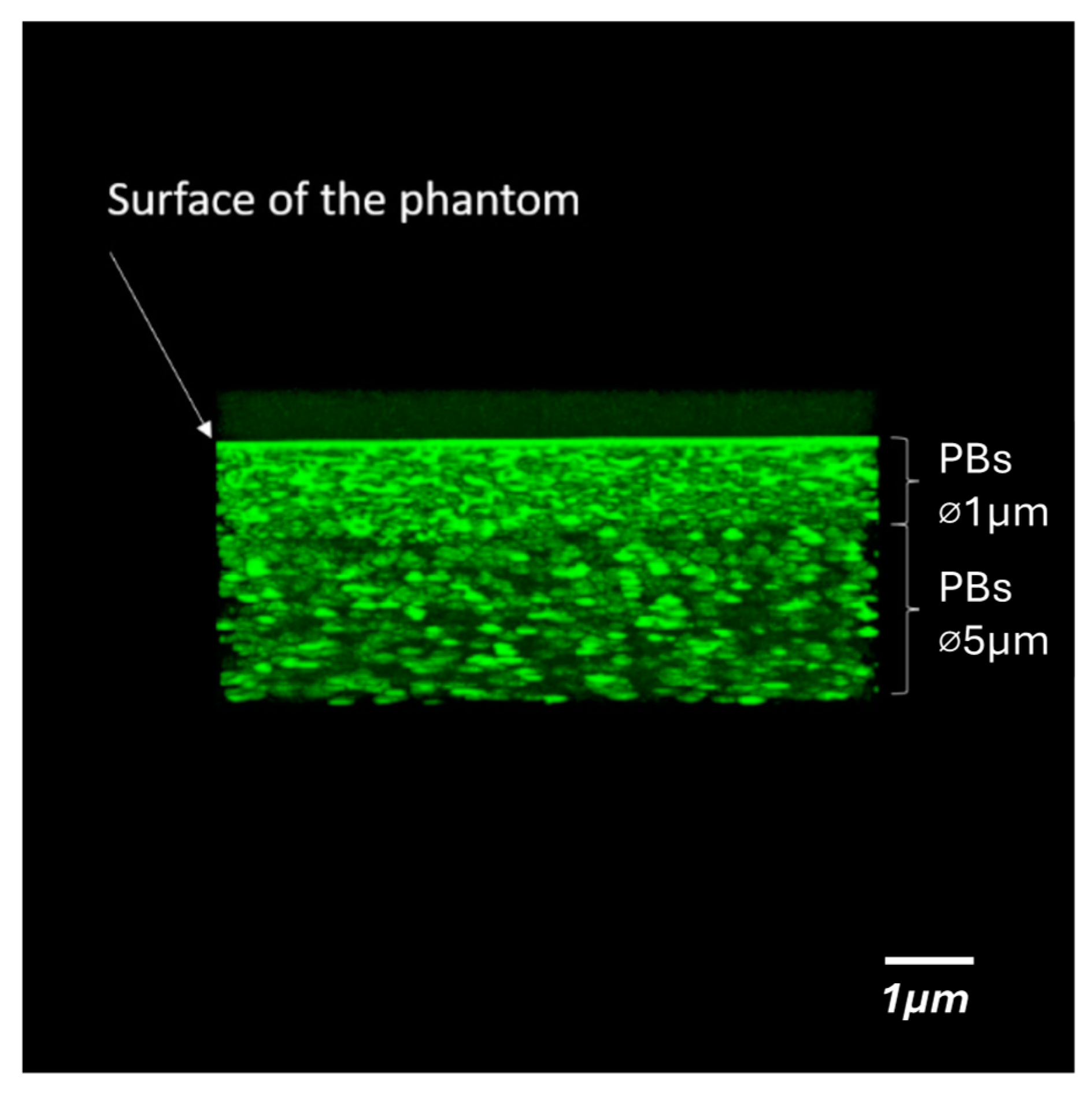 Biochem 05 00006 g001