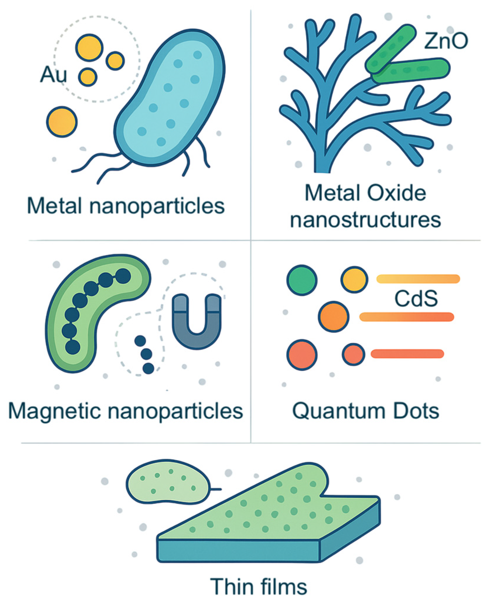 Biochem 05 00012 g002