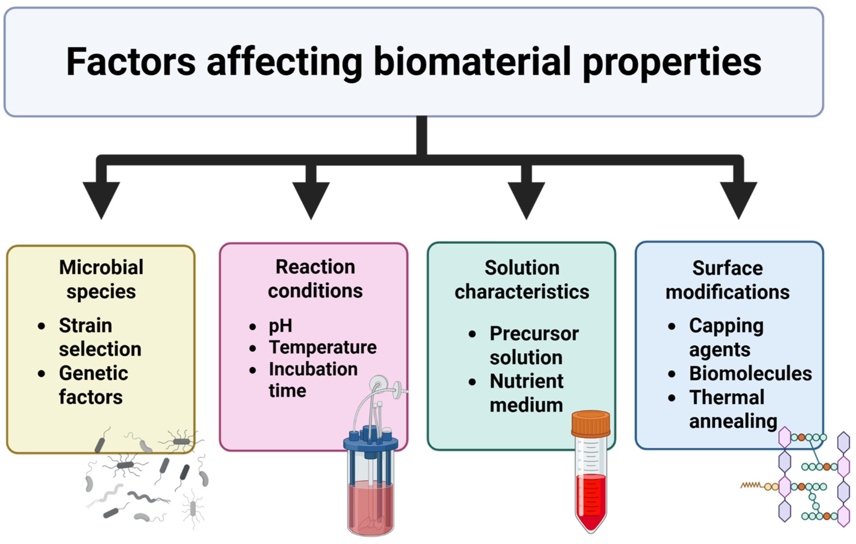 Biochem 05 00012 g003