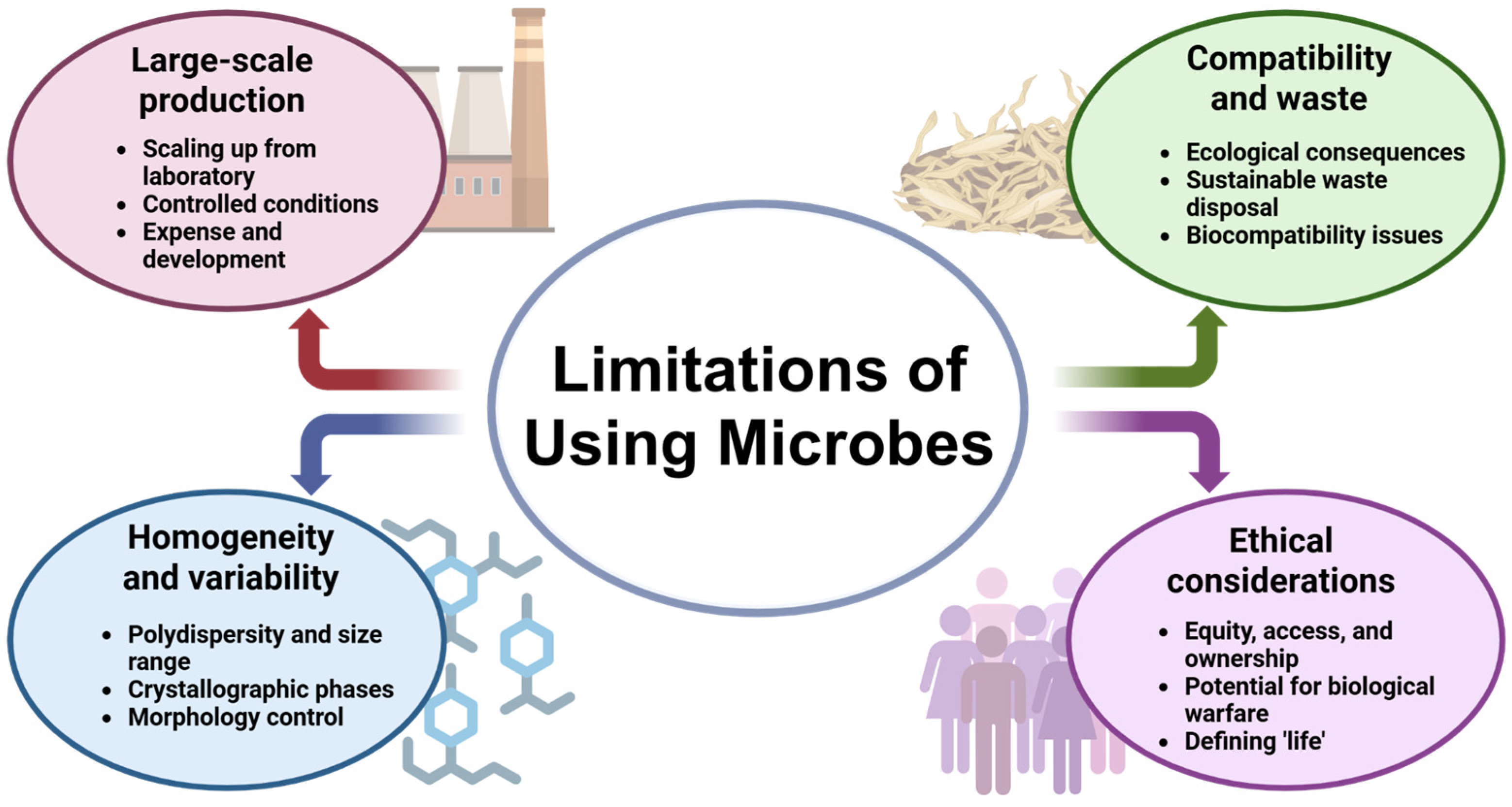Biochem 05 00012 g004