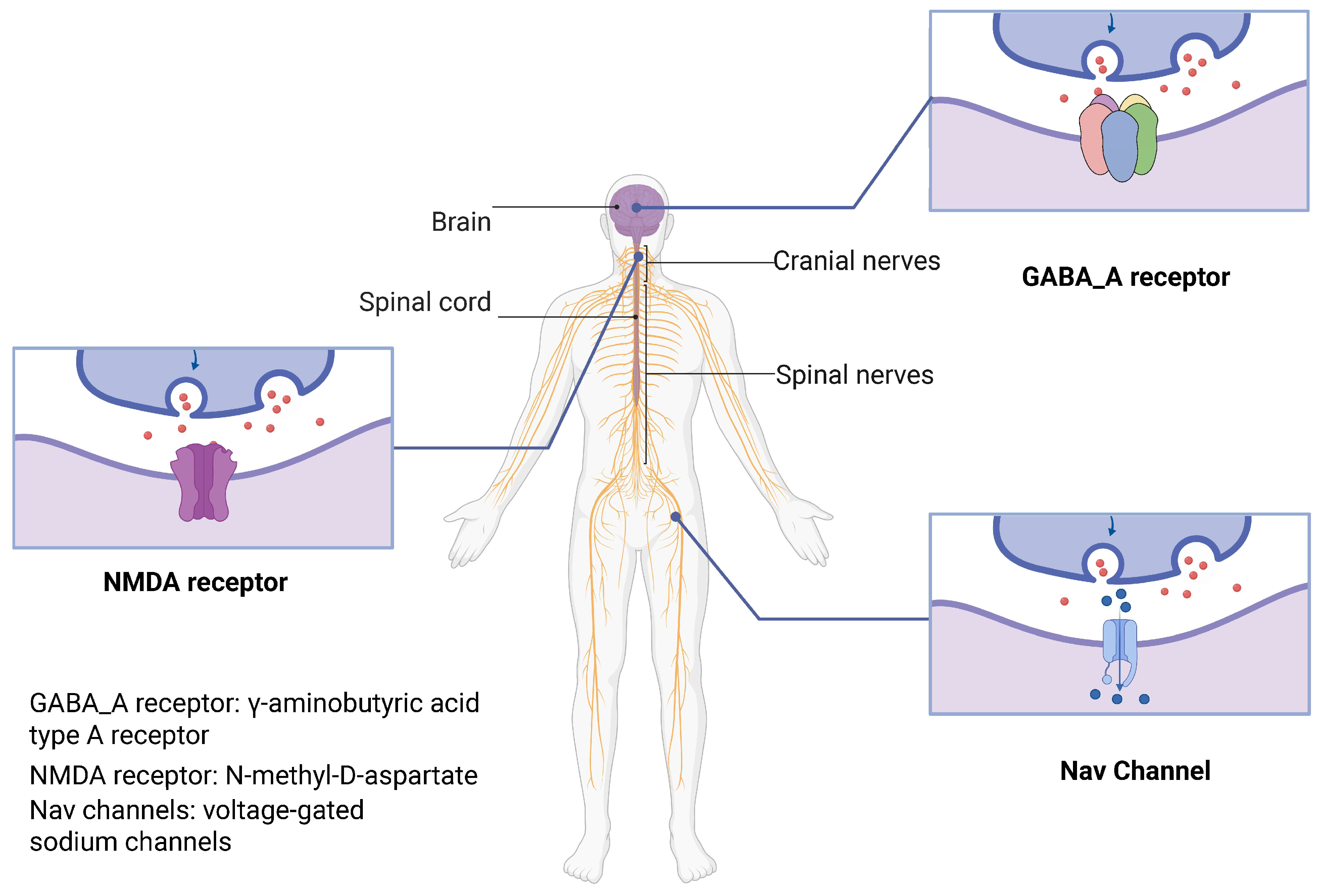 Biochem 05 00018 g001