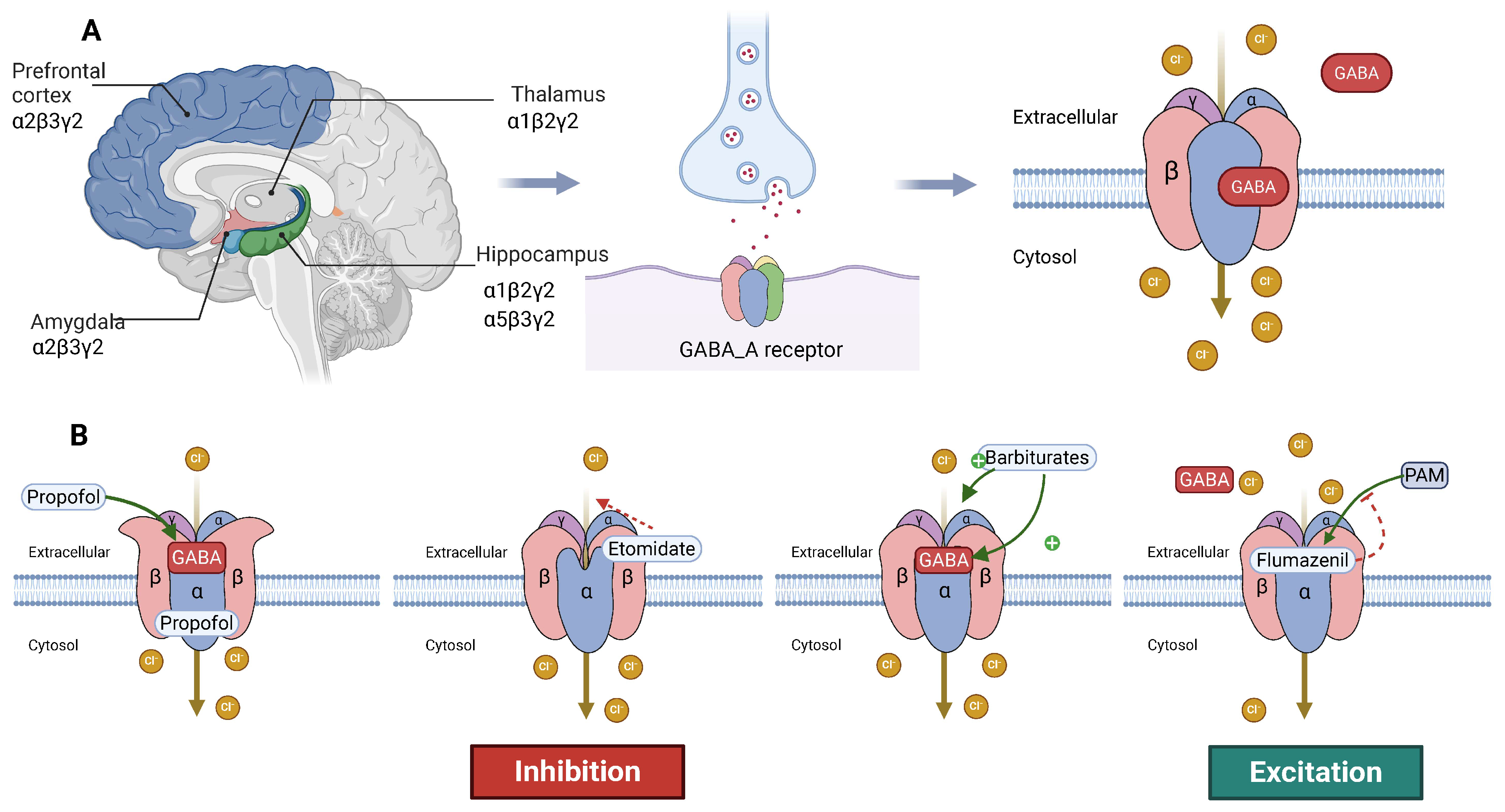 Biochem 05 00018 g003