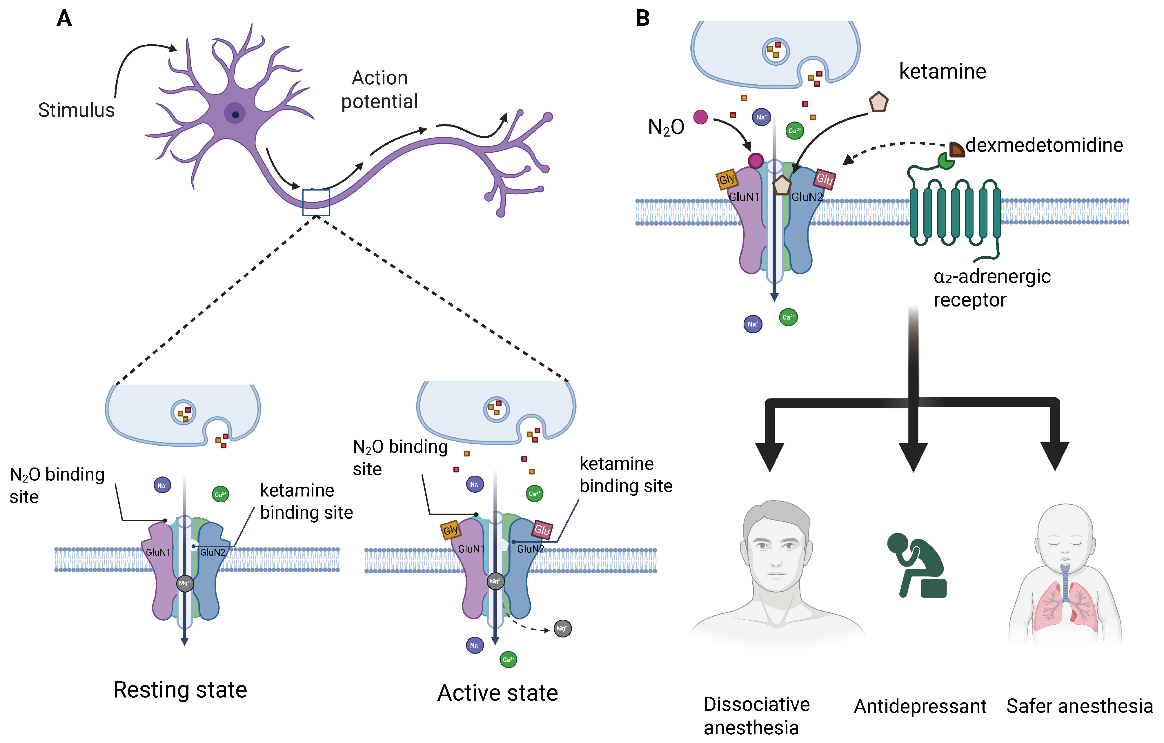 Biochem 05 00018 g004