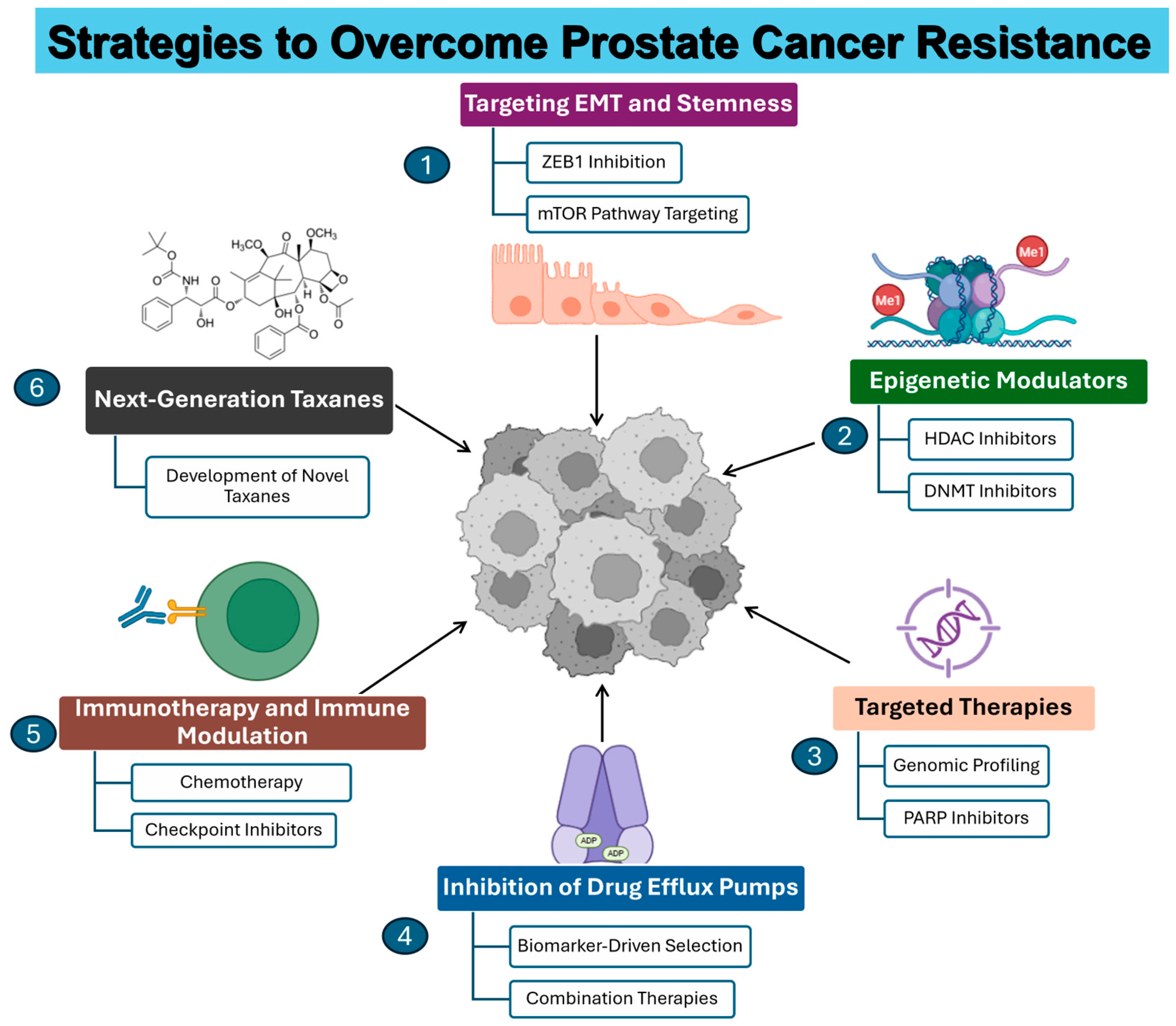 Biochem 05 00024 g002