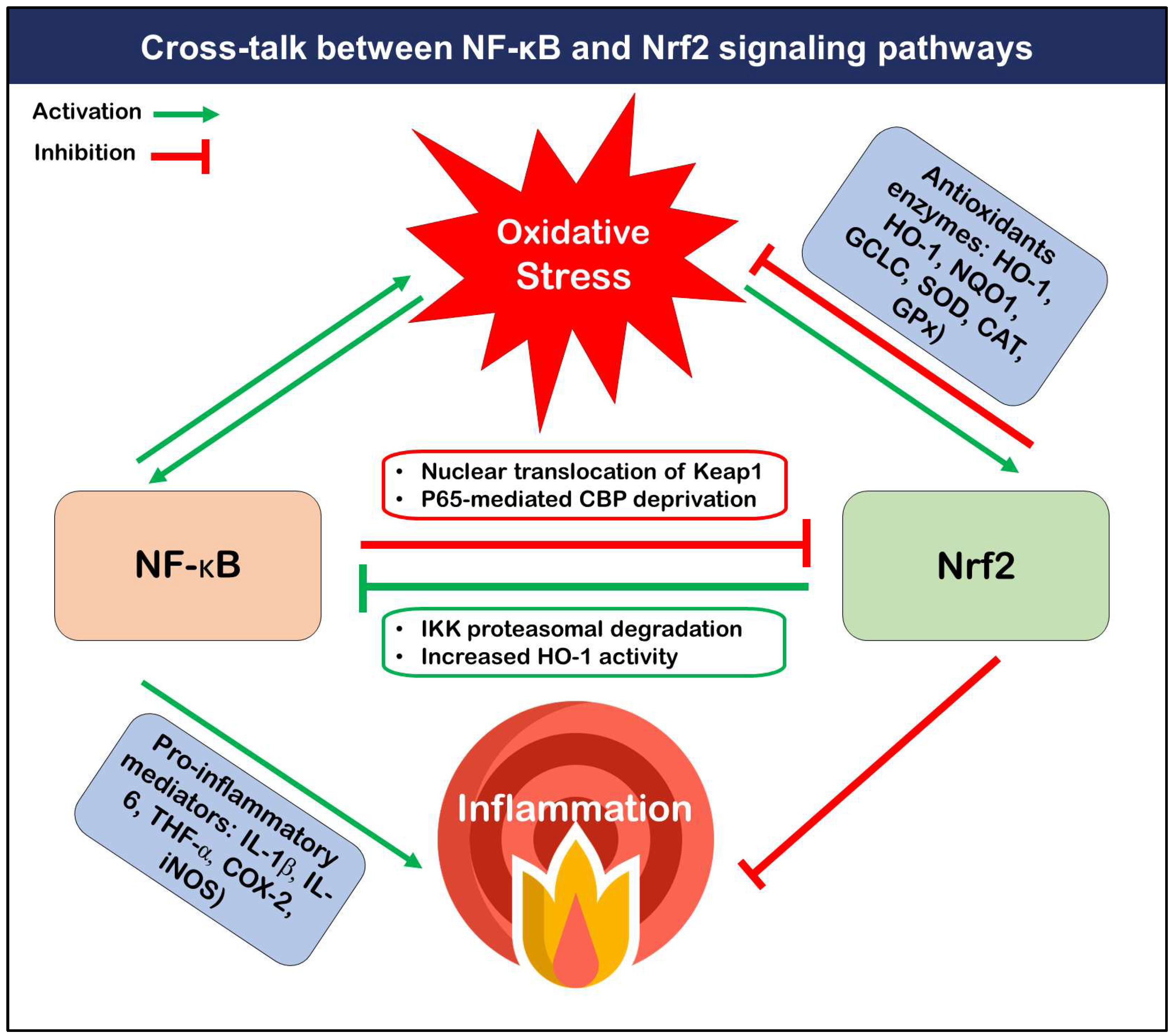 Biochem 05 00035 g001 Biochem 05 00035 g001