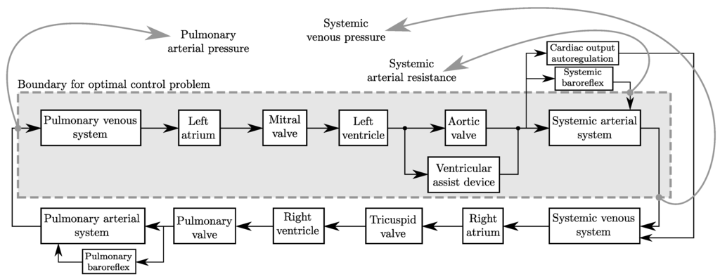 Bioengineering 01 00022 g001 1024