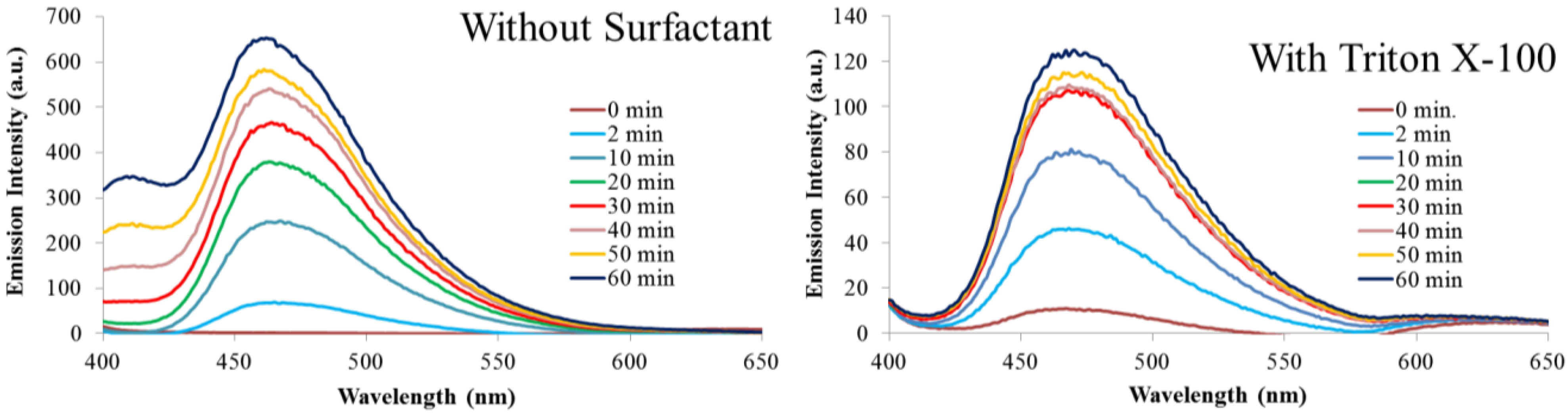 Bioengineering 01 00246 g005