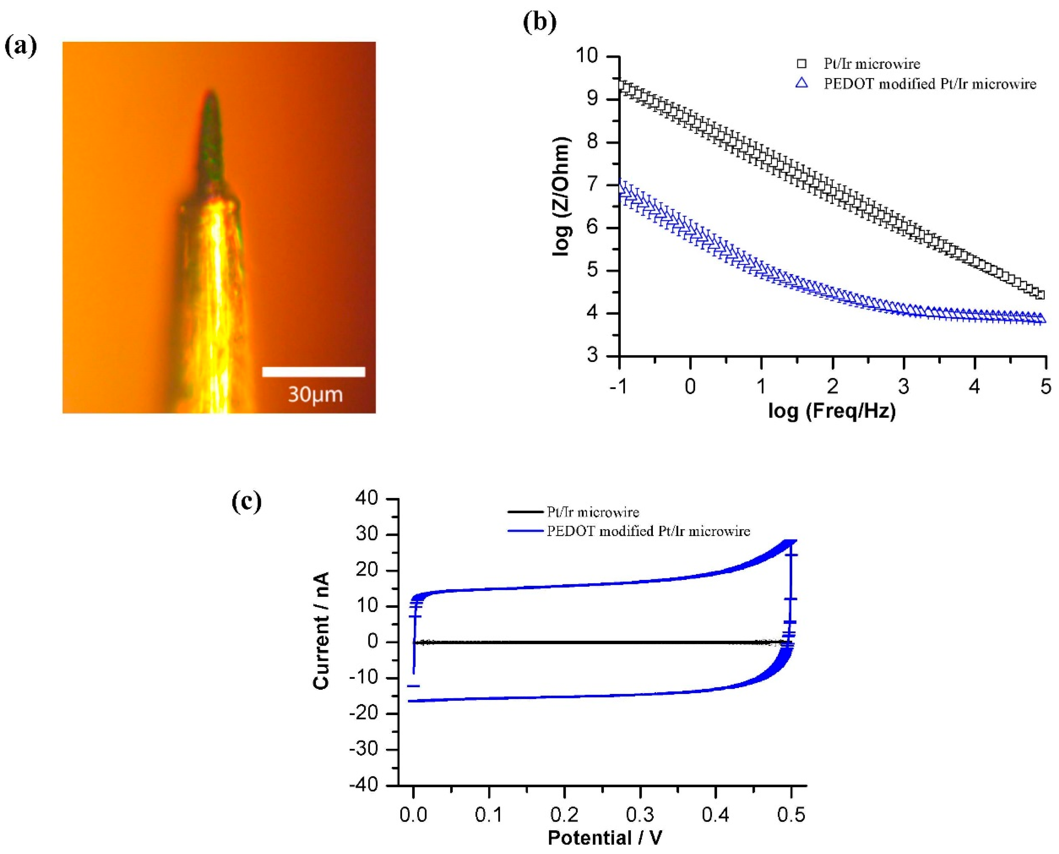 Bioengineering 02 00176 g002