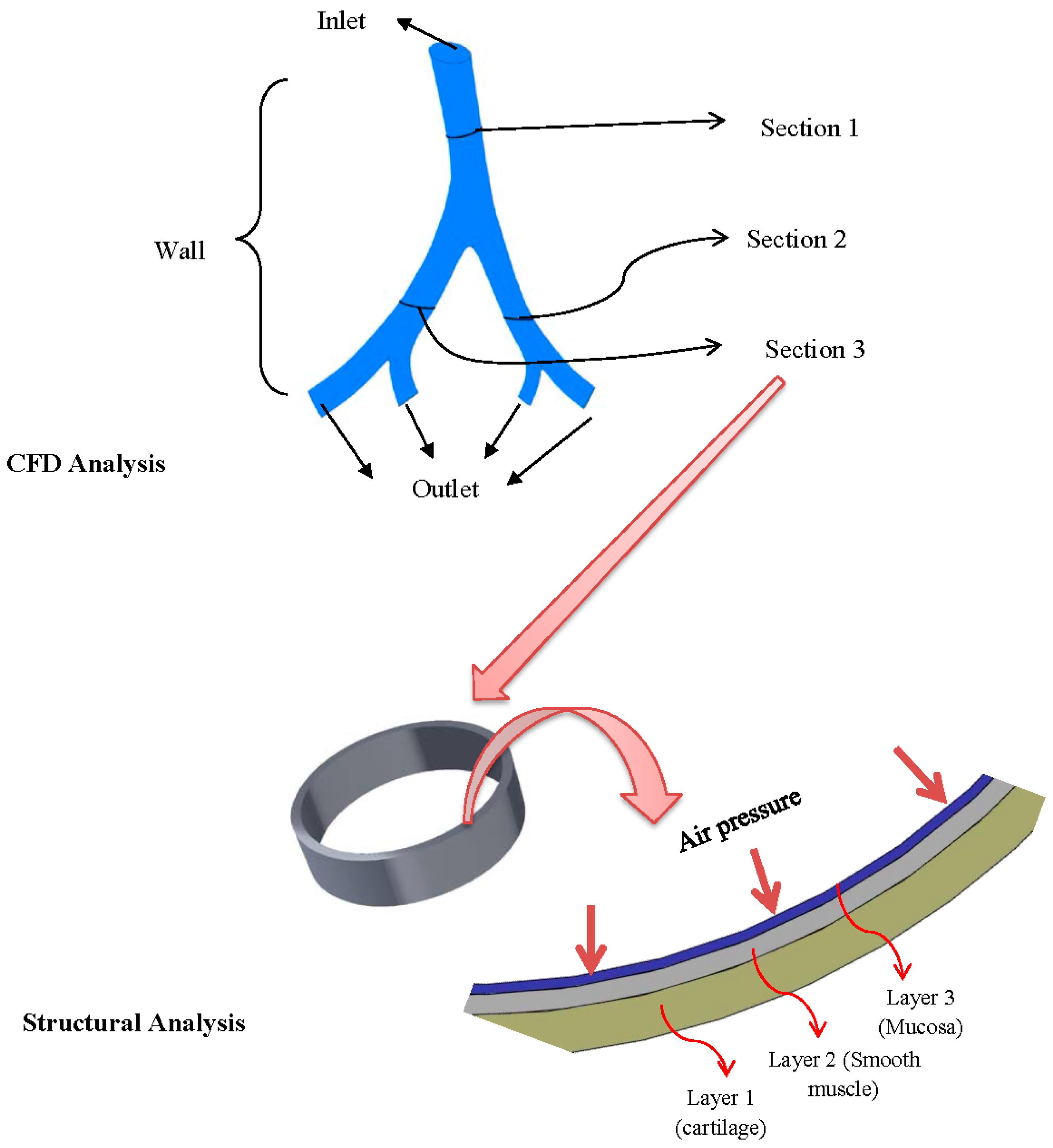 Bioengineering 03 00004 g001