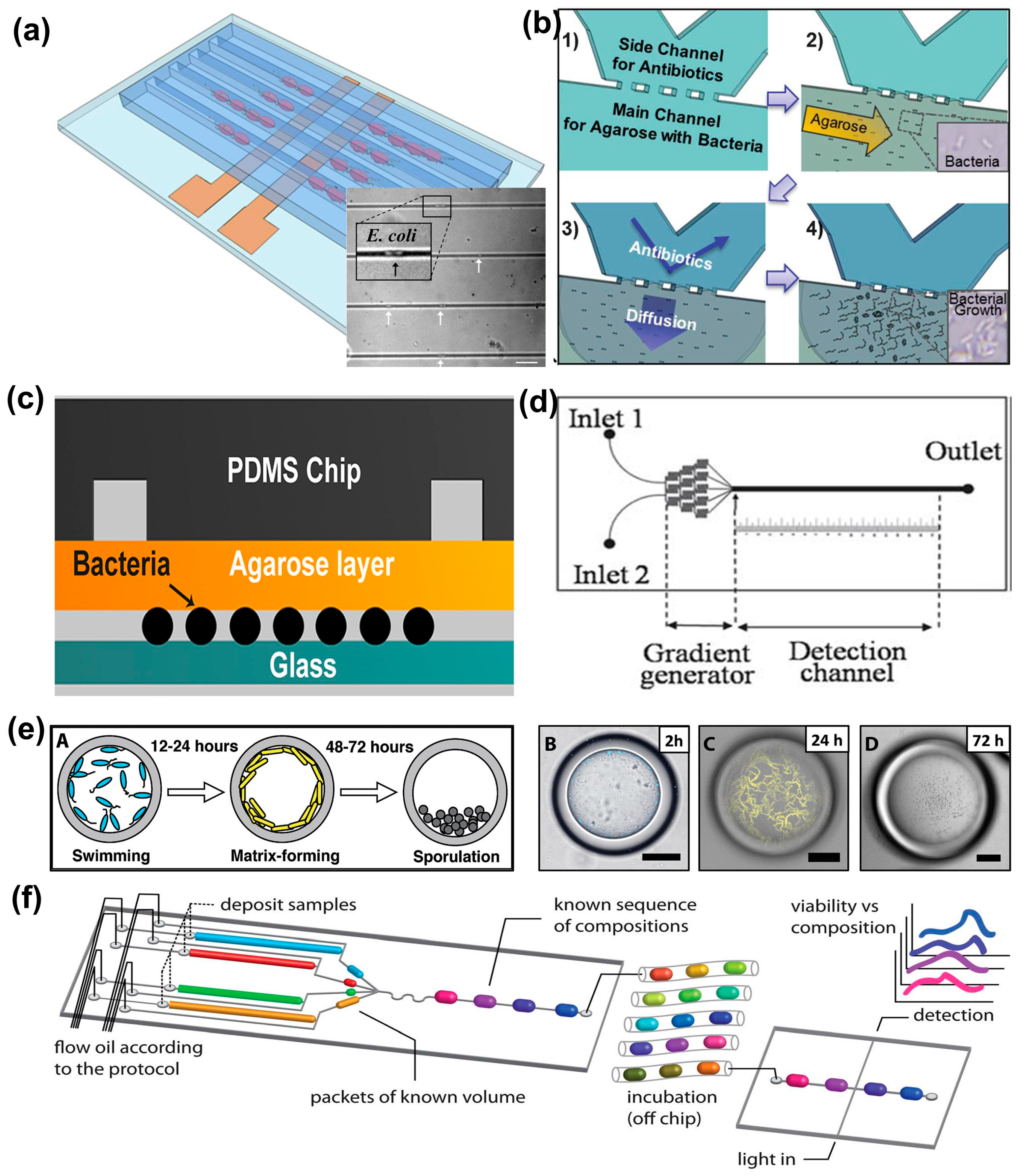 Bioengineering 03 00025 g001