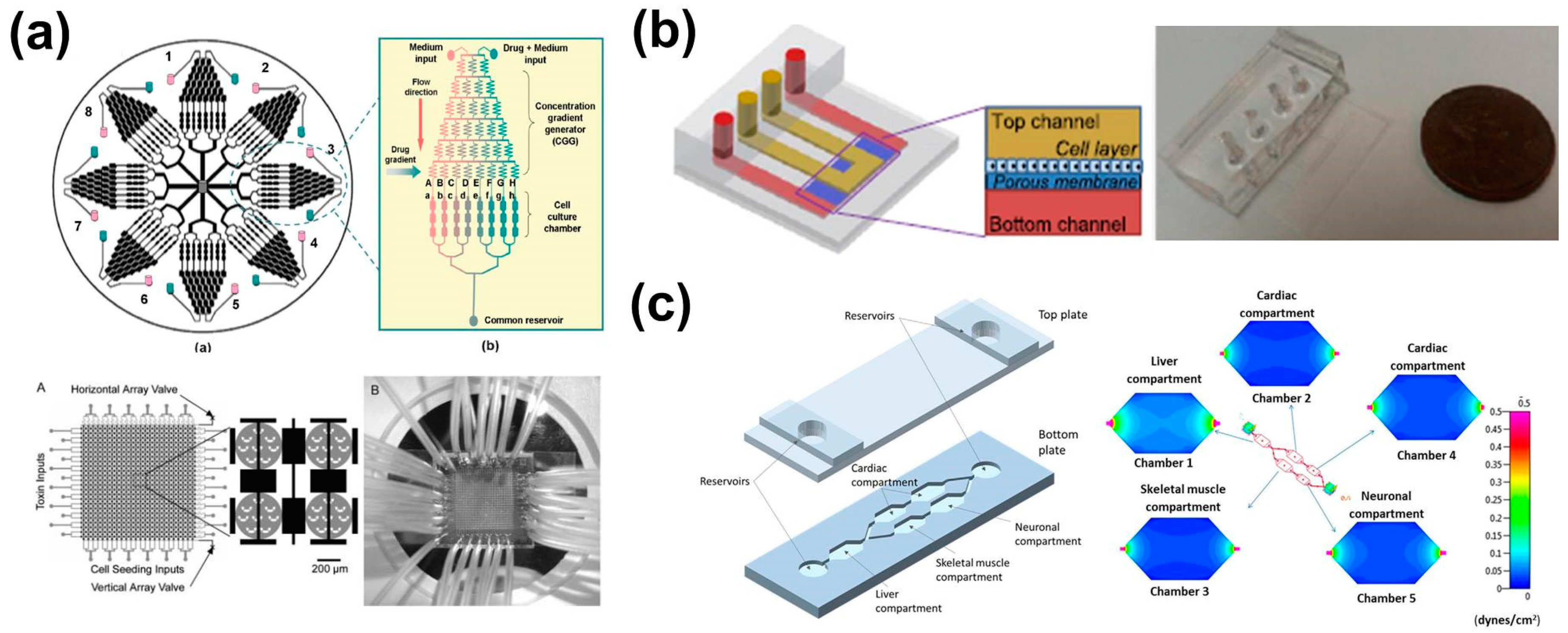 Bioengineering 03 00025 g002